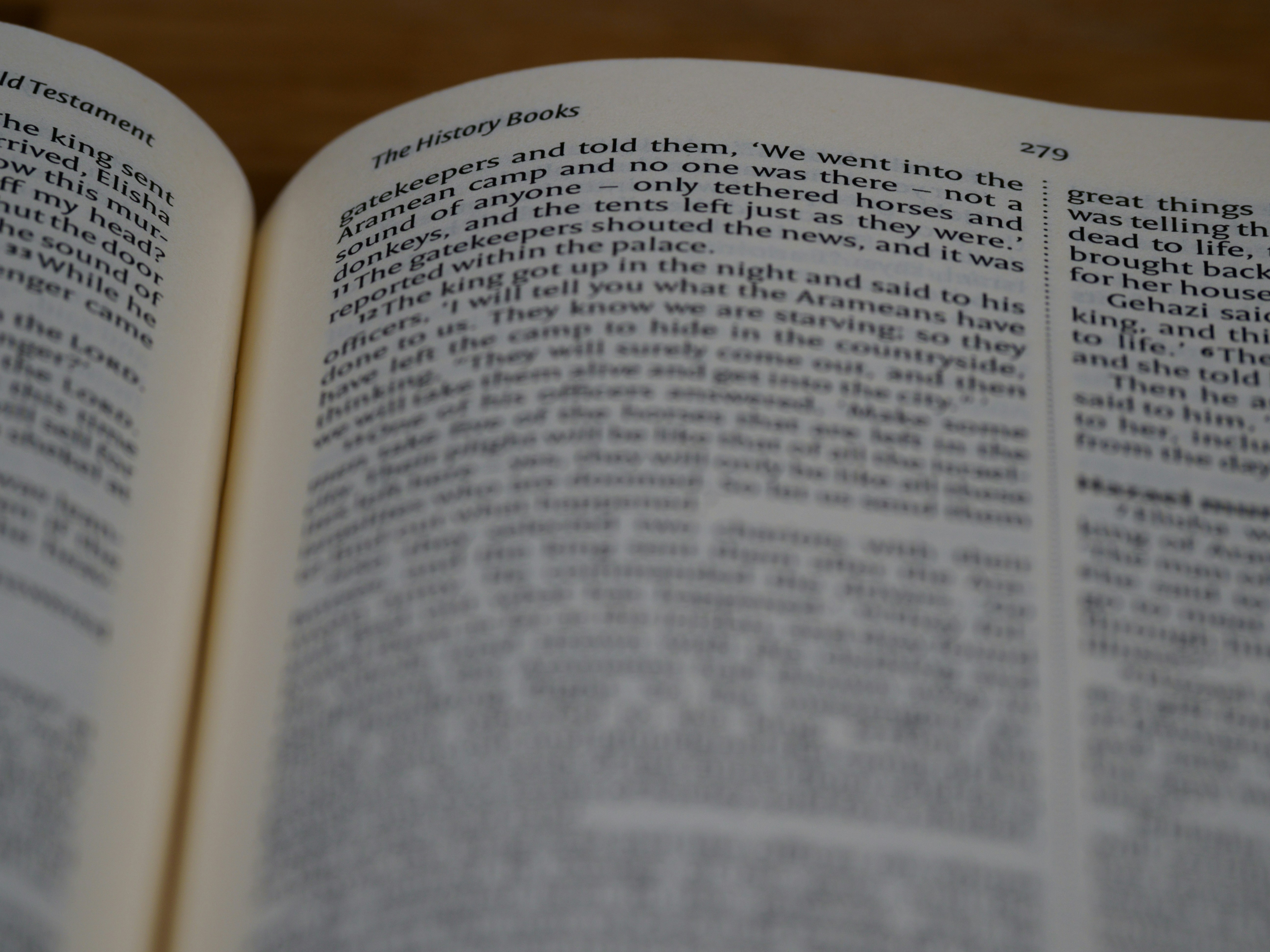 Photo by brett_jordan