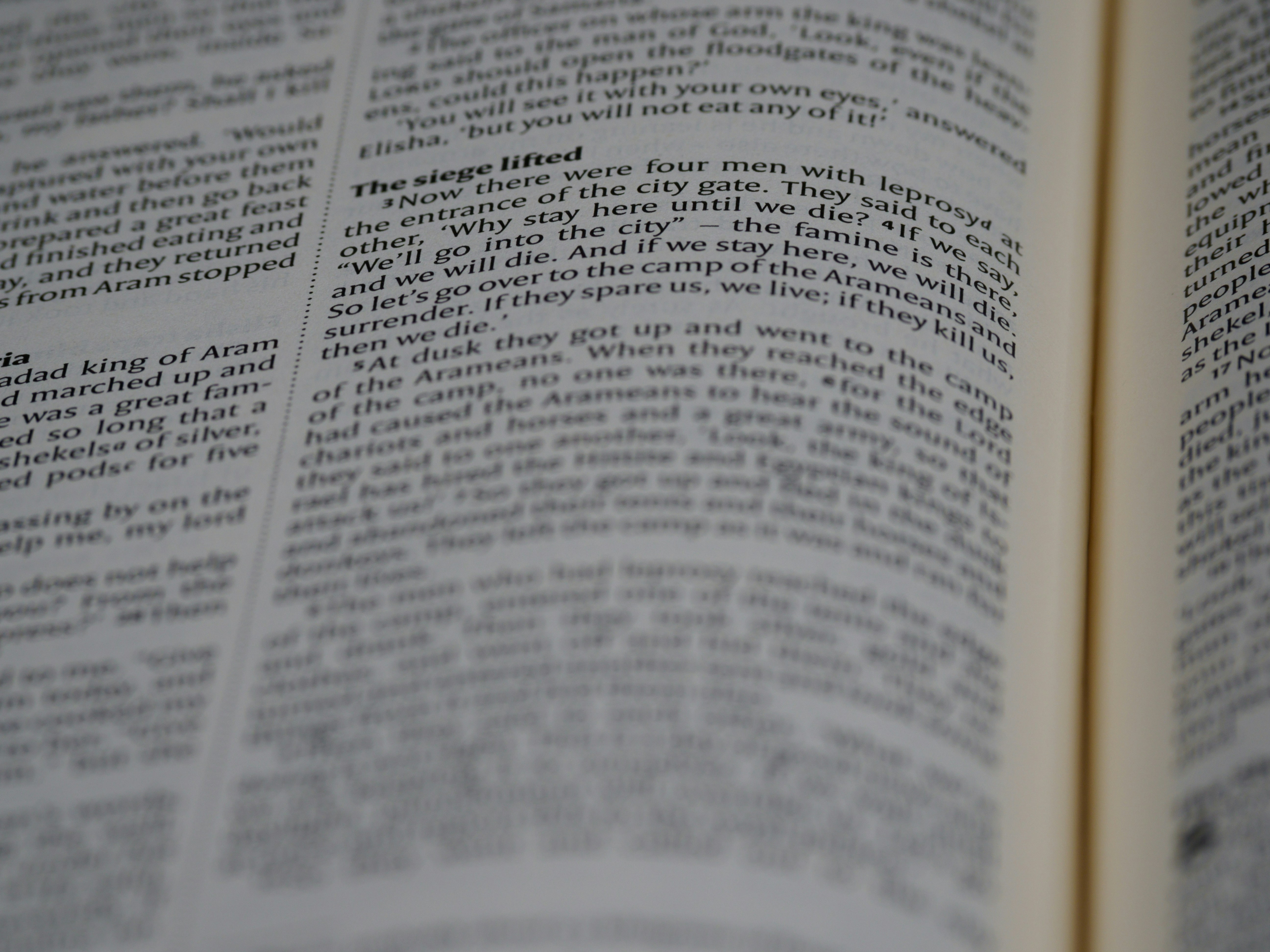 Photo by brett_jordan