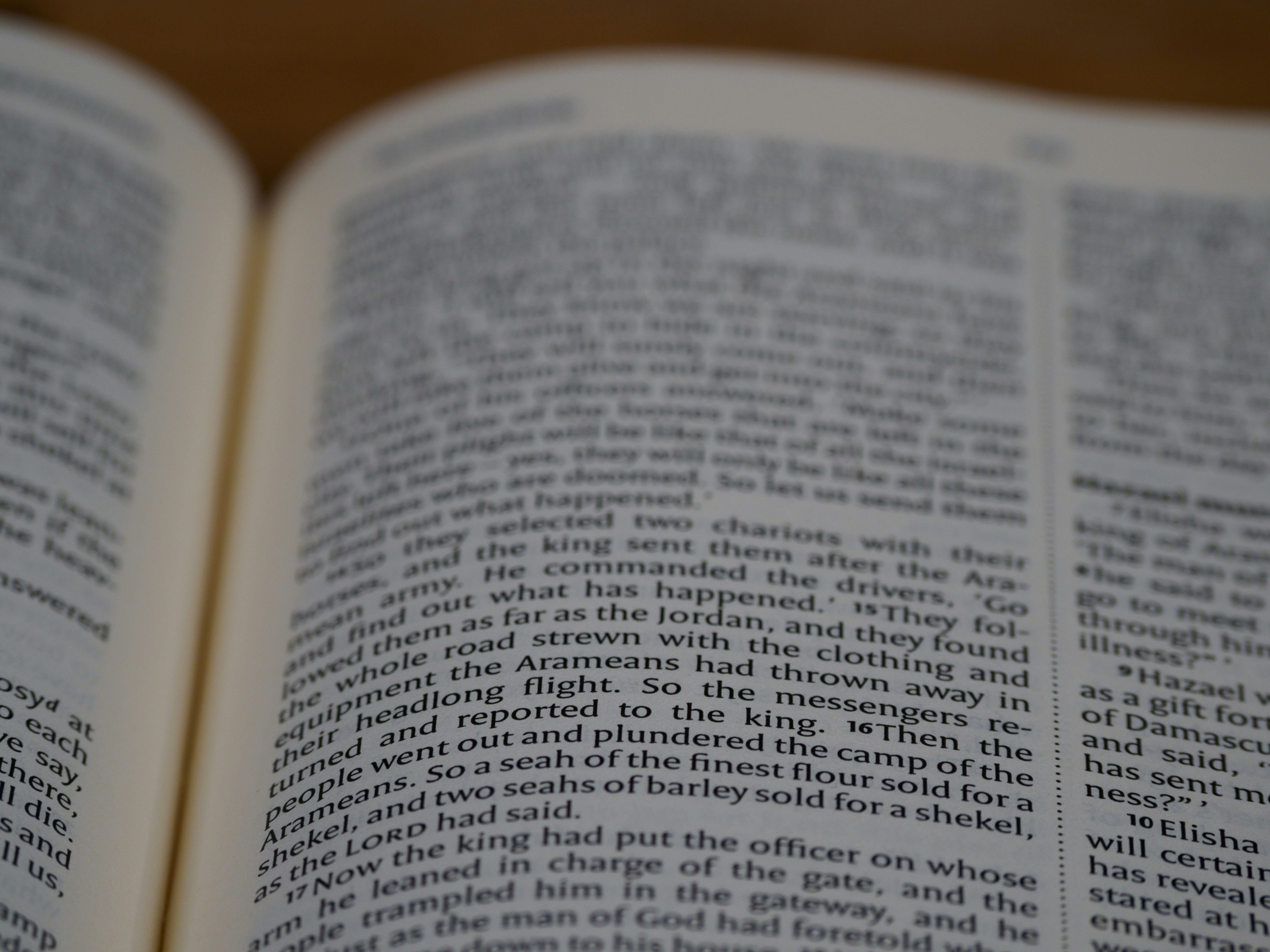 Photo by brett_jordan