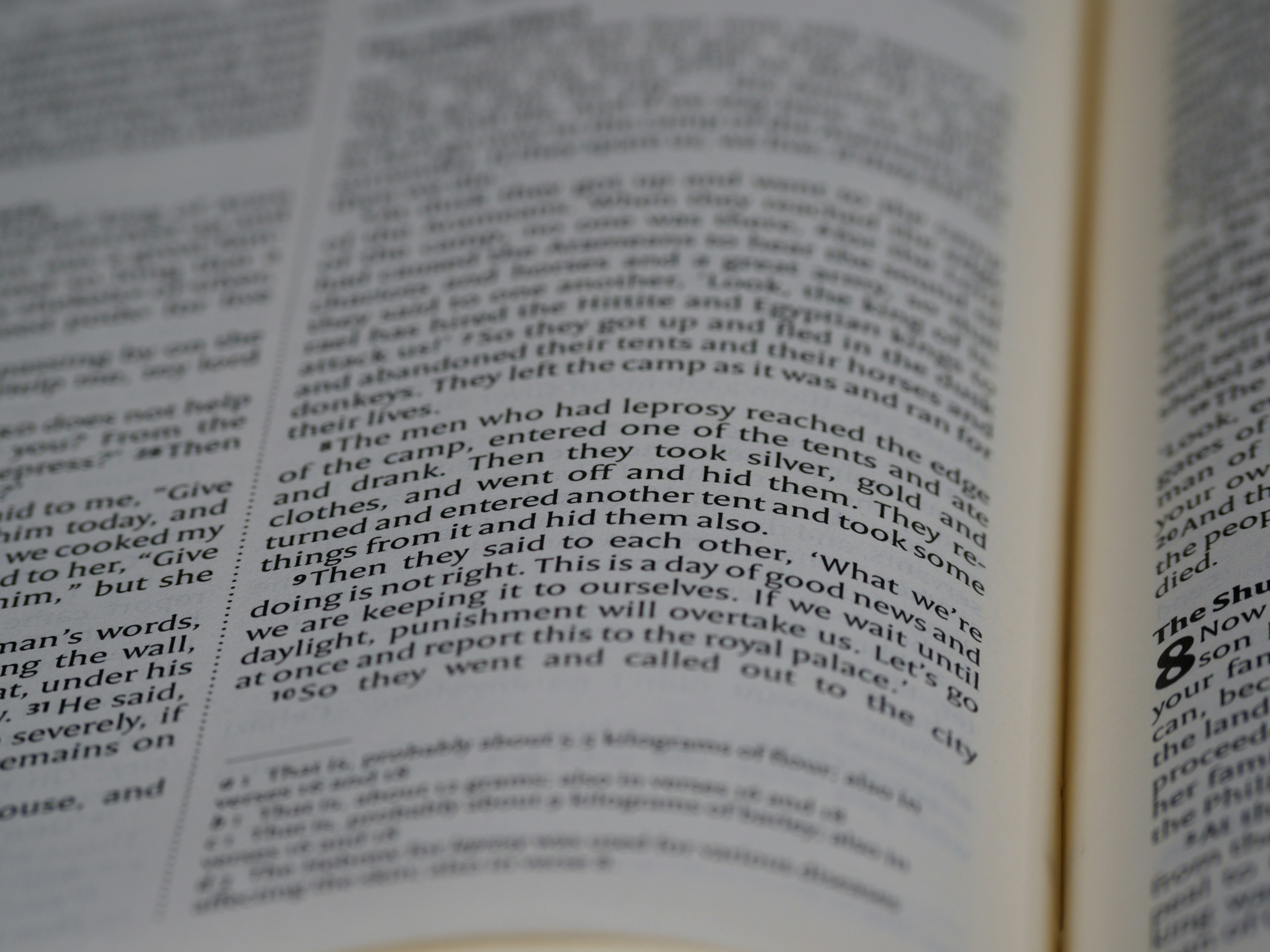 Photo by brett_jordan