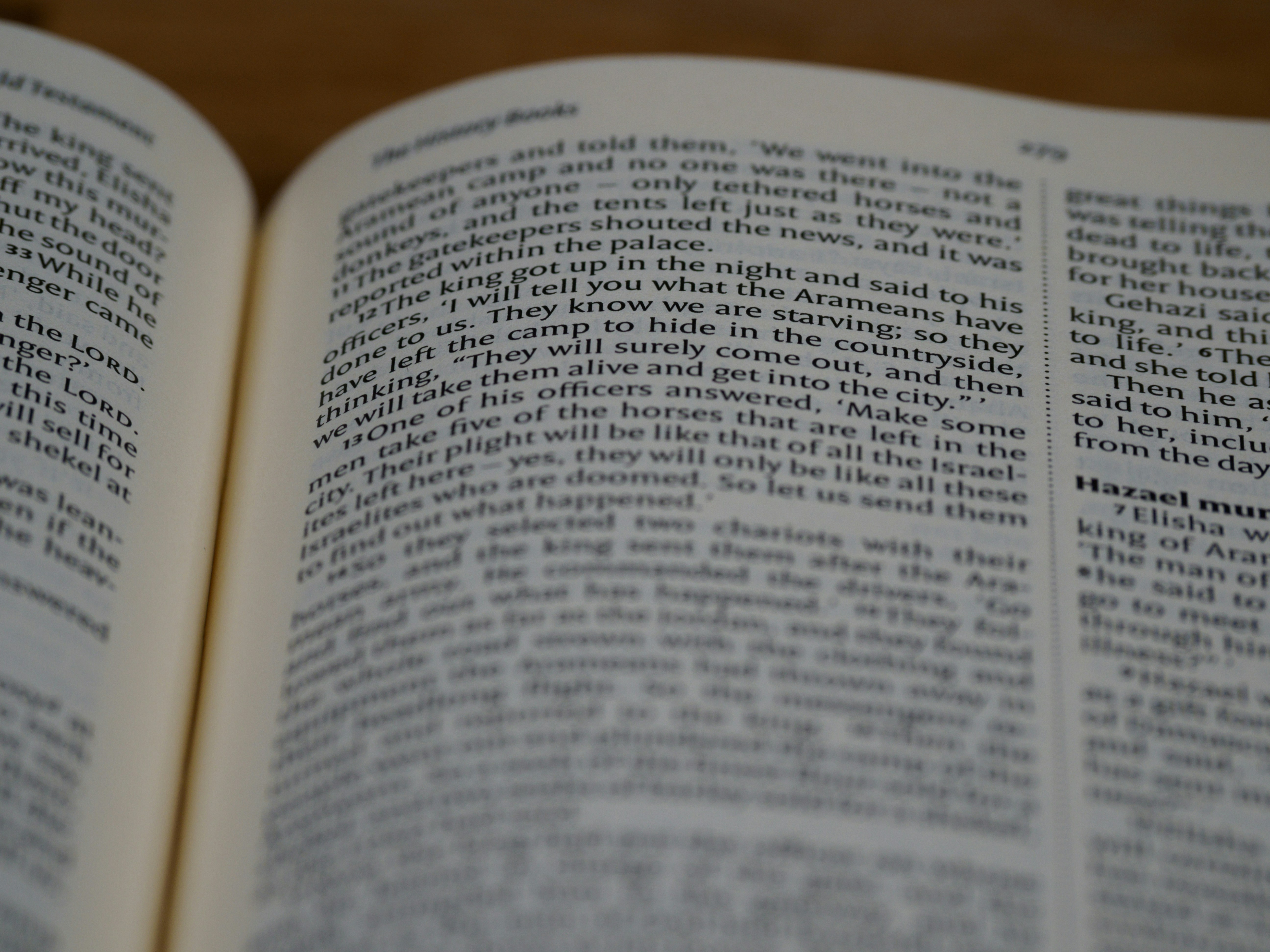 Photo by brett_jordan