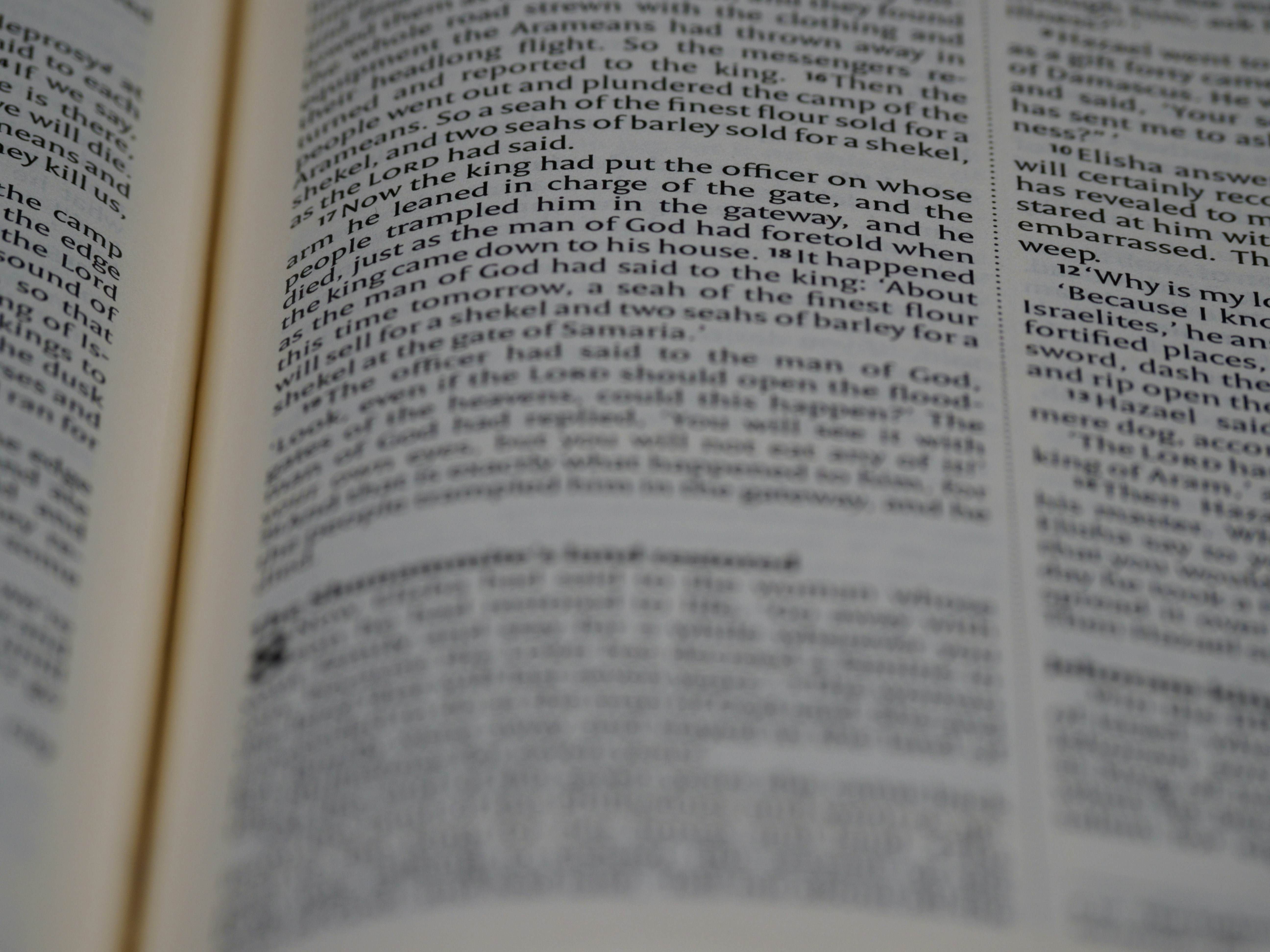 Photo by brett_jordan