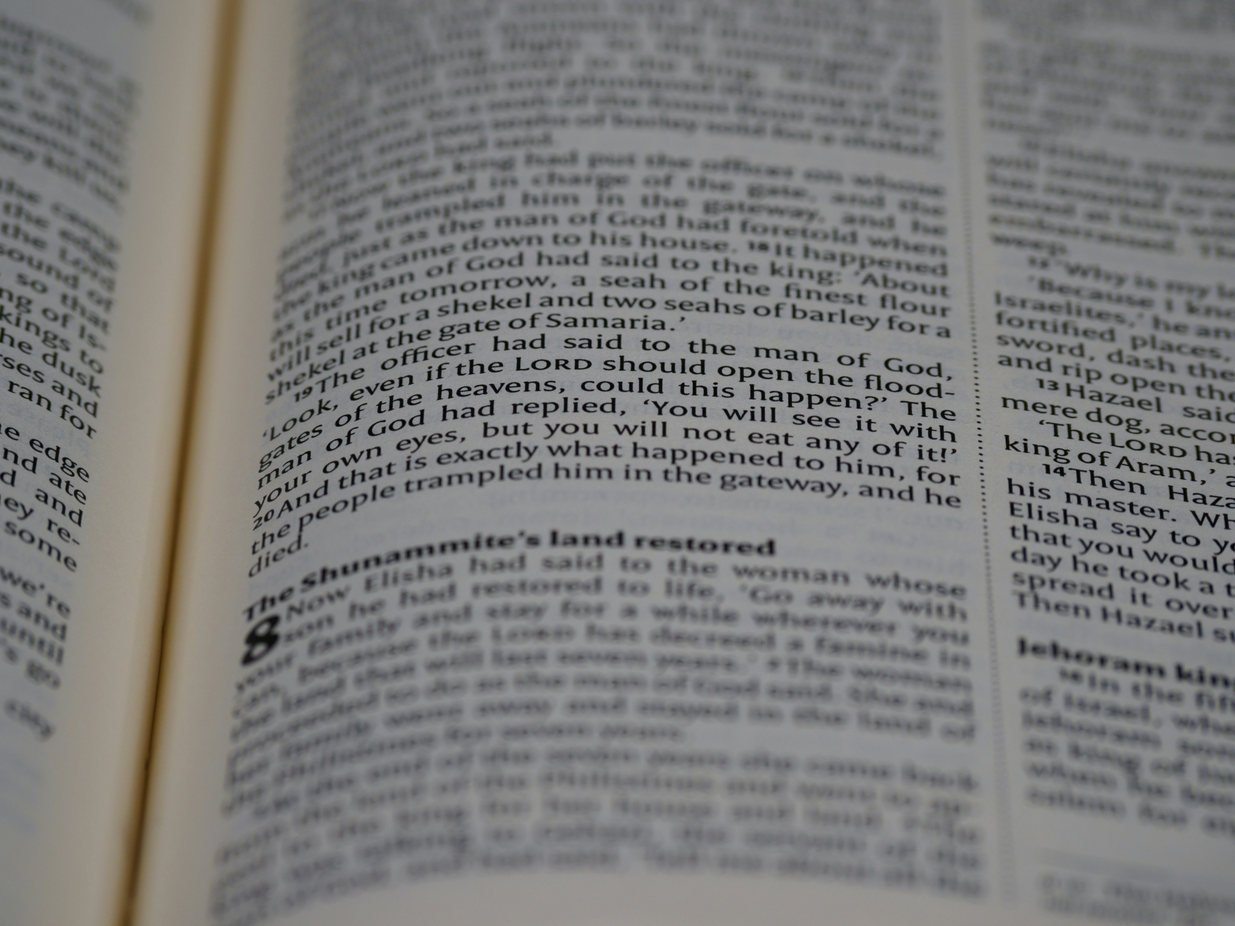 Photo by brett_jordan