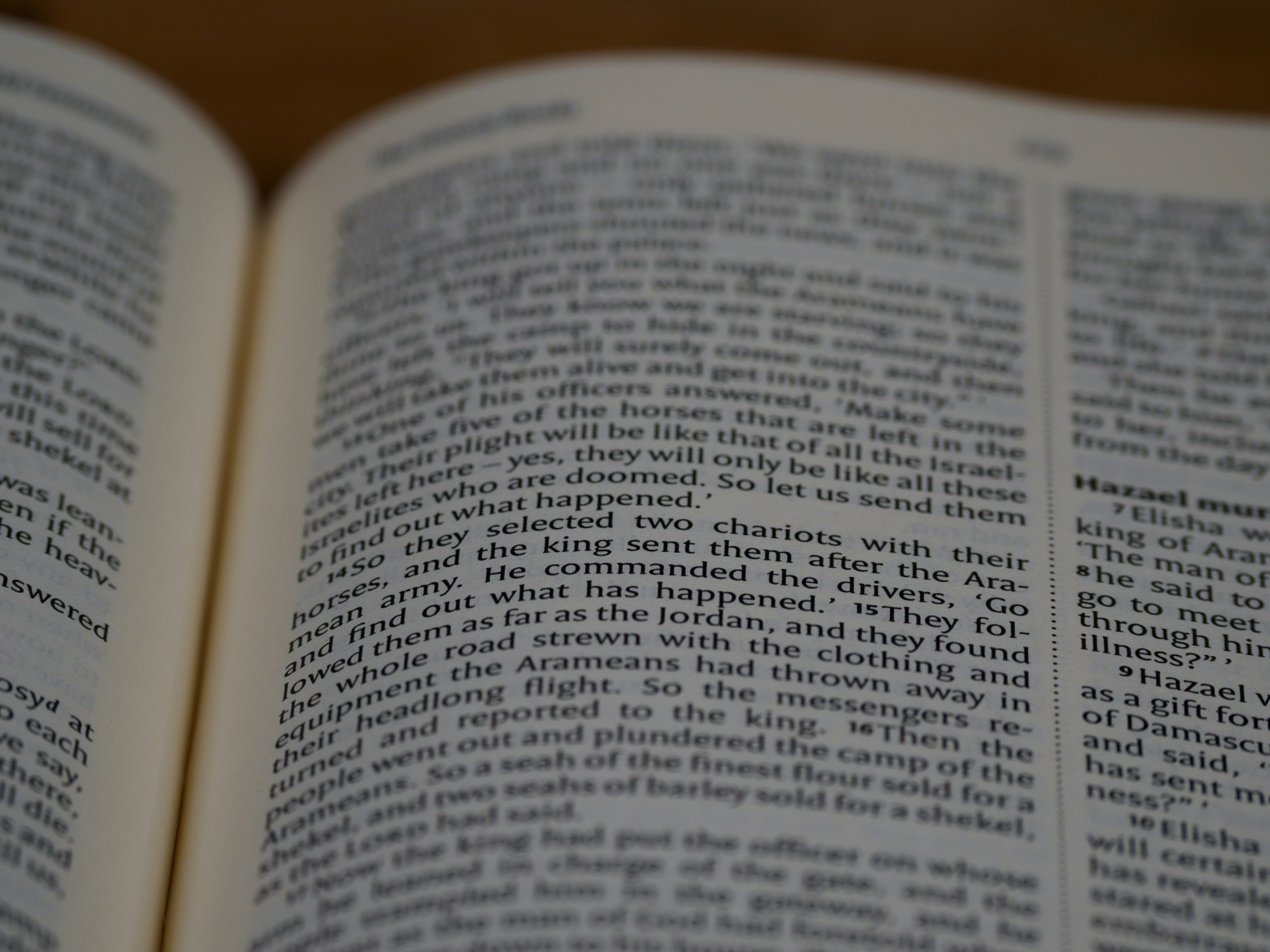 Photo by brett_jordan