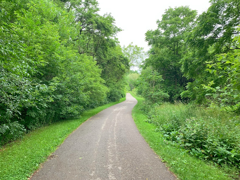 gray asphalt road between green grass and trees during daytime