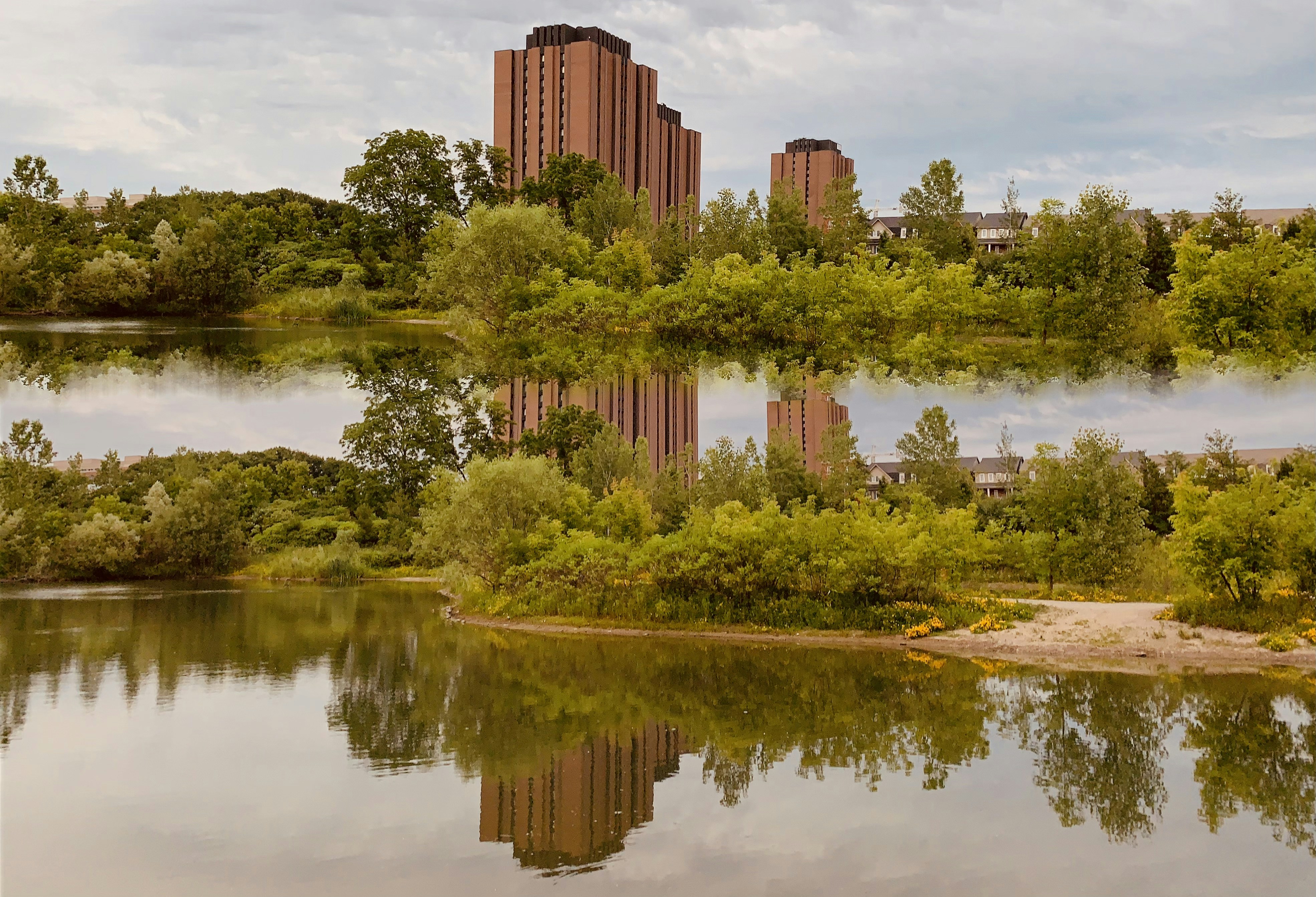 árvores verdes perto do corpo de água durante o dia