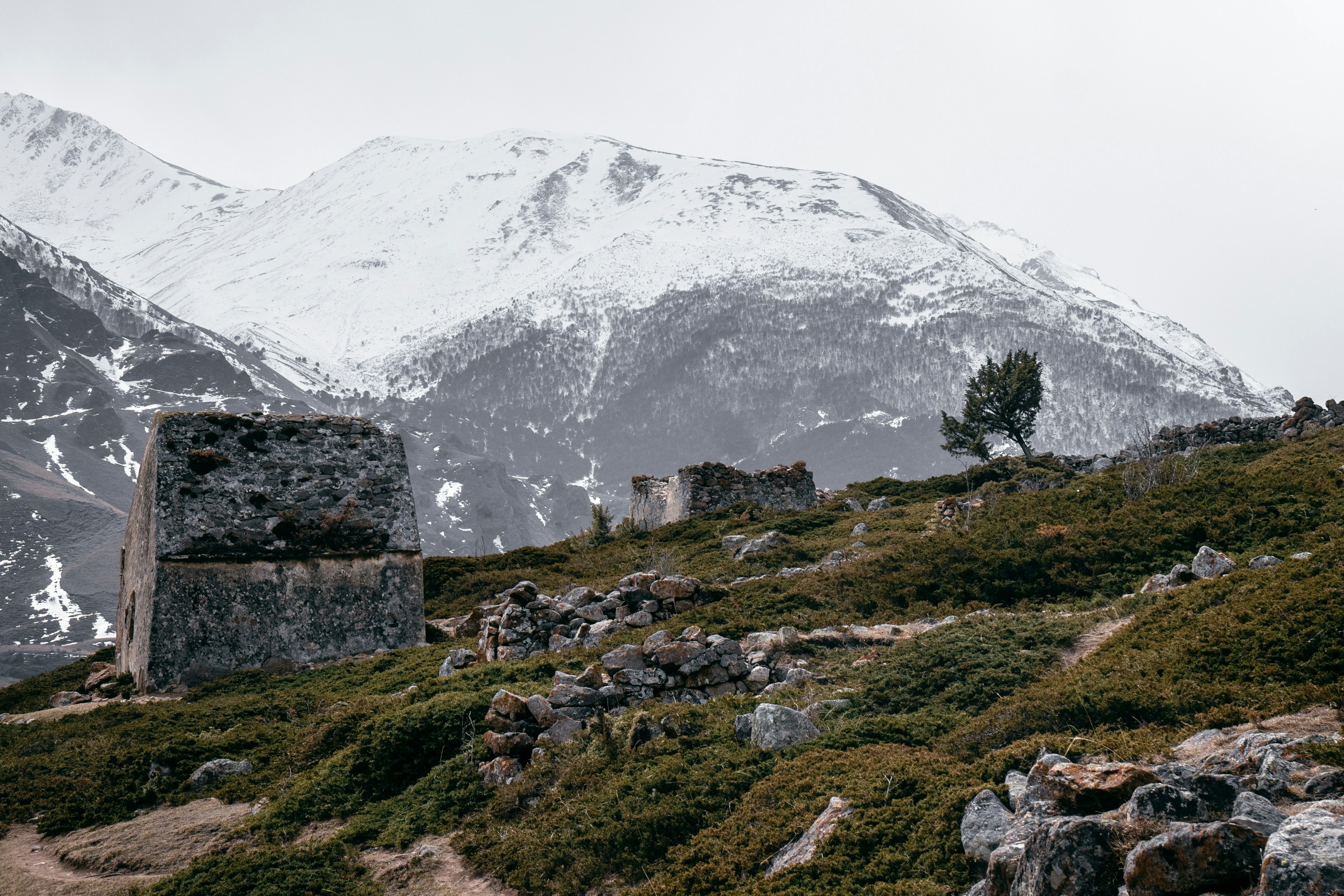 Photo by kirillpershin