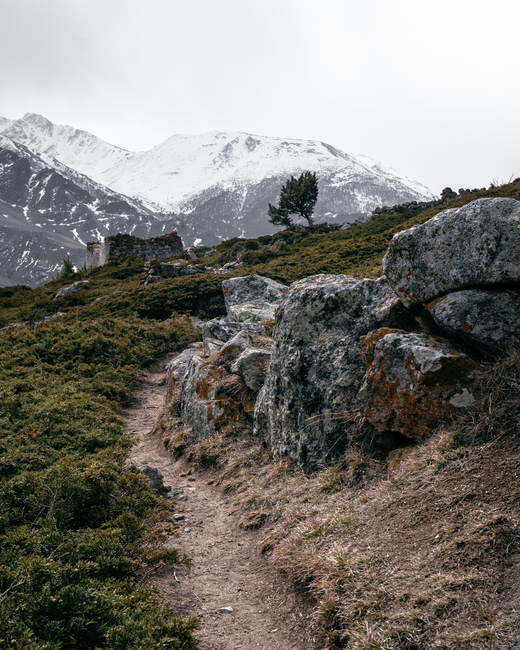 Photo by kirillpershin