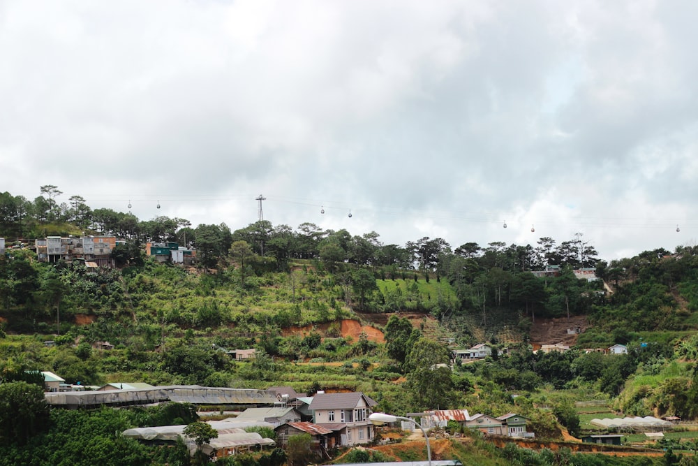 houses near green trees under white sky during daytime