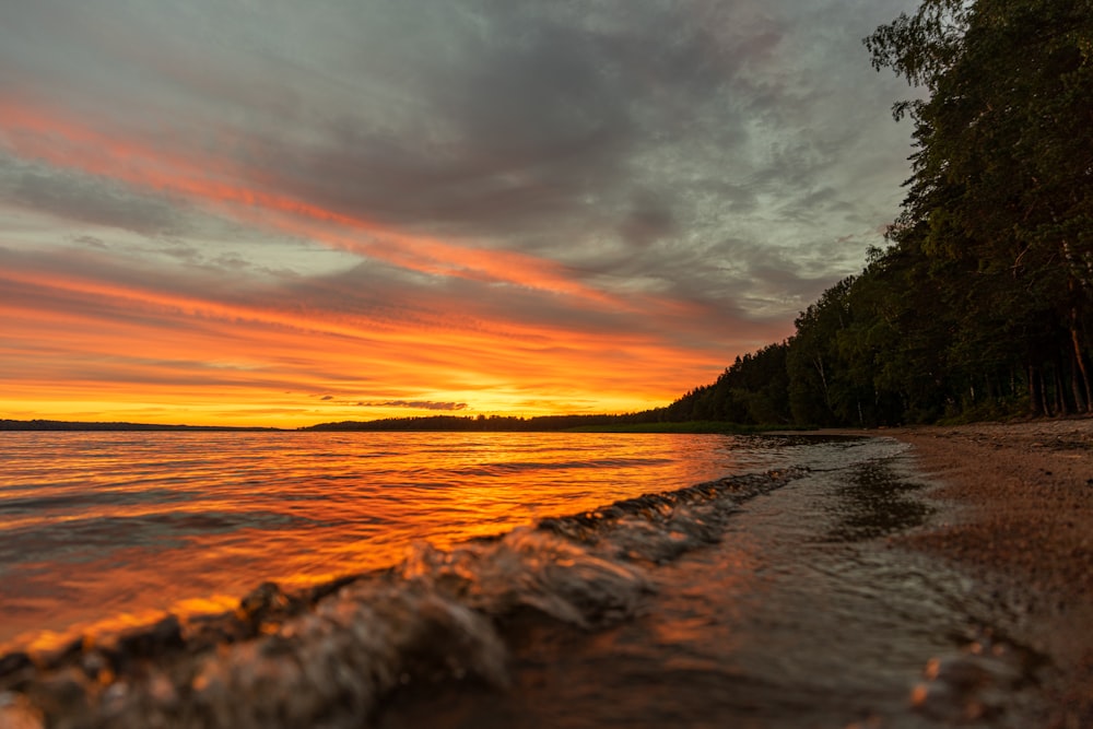 Gewässer in der Nähe von grünen Bäumen während des Sonnenuntergangs