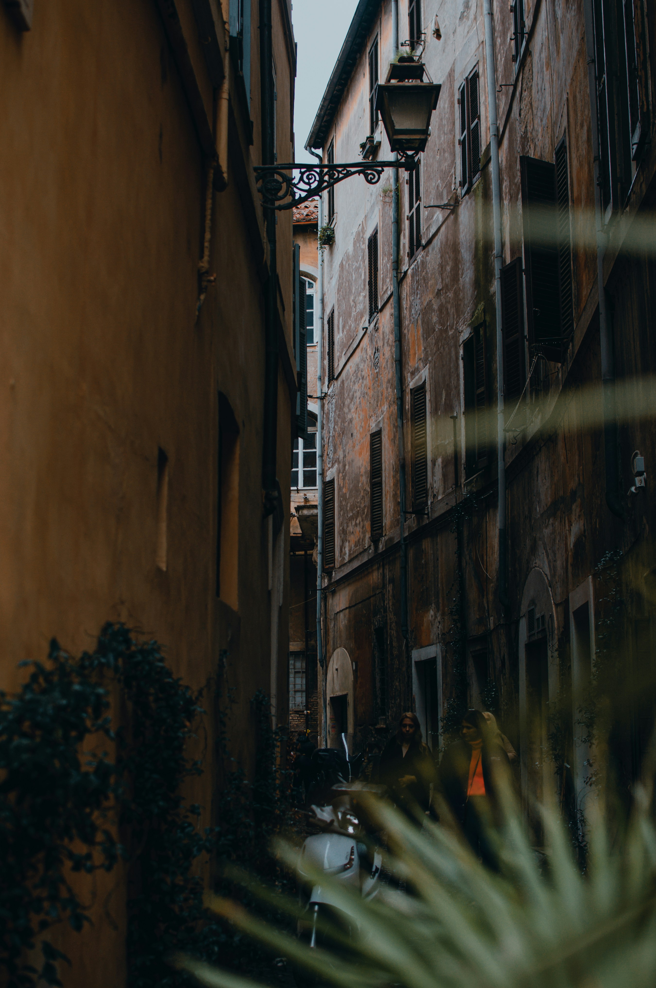 Photo by bullettrainnnnn