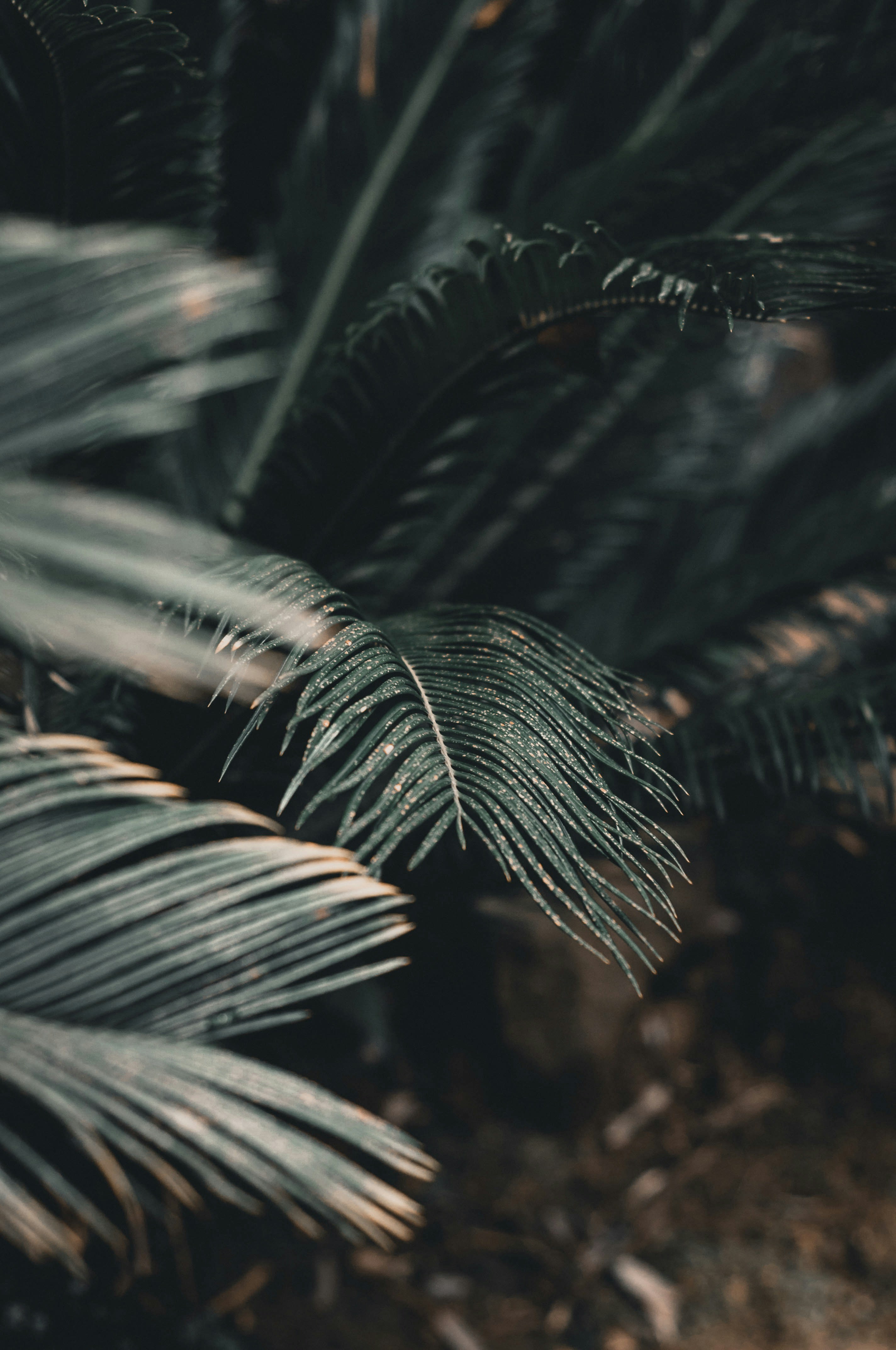 Photo by bullettrainnnnn