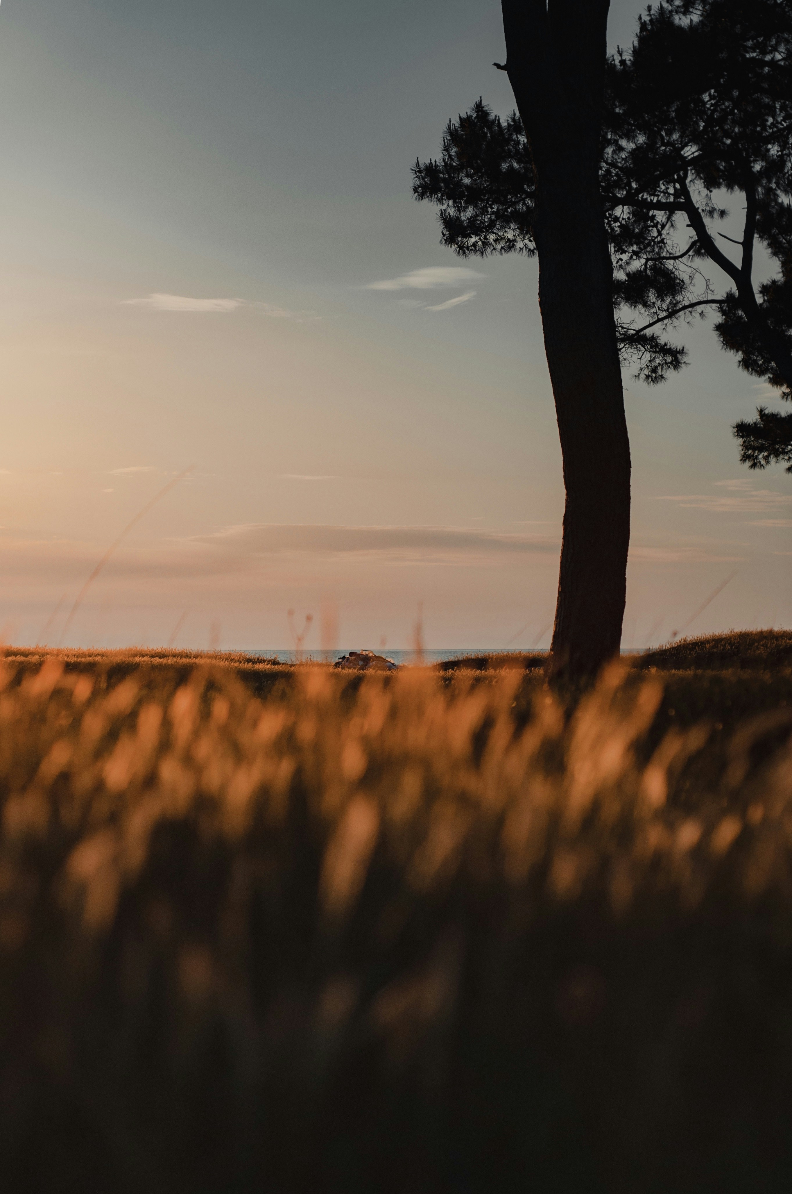 Photo by bullettrainnnnn