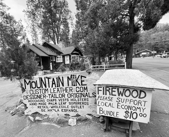 A rustic scene featuring two handmade signs advertising custom leather goods and firewood for sale. The signs are placed in front of a quaint cabin surrounded by tall pine trees, situated on a quiet rural street.