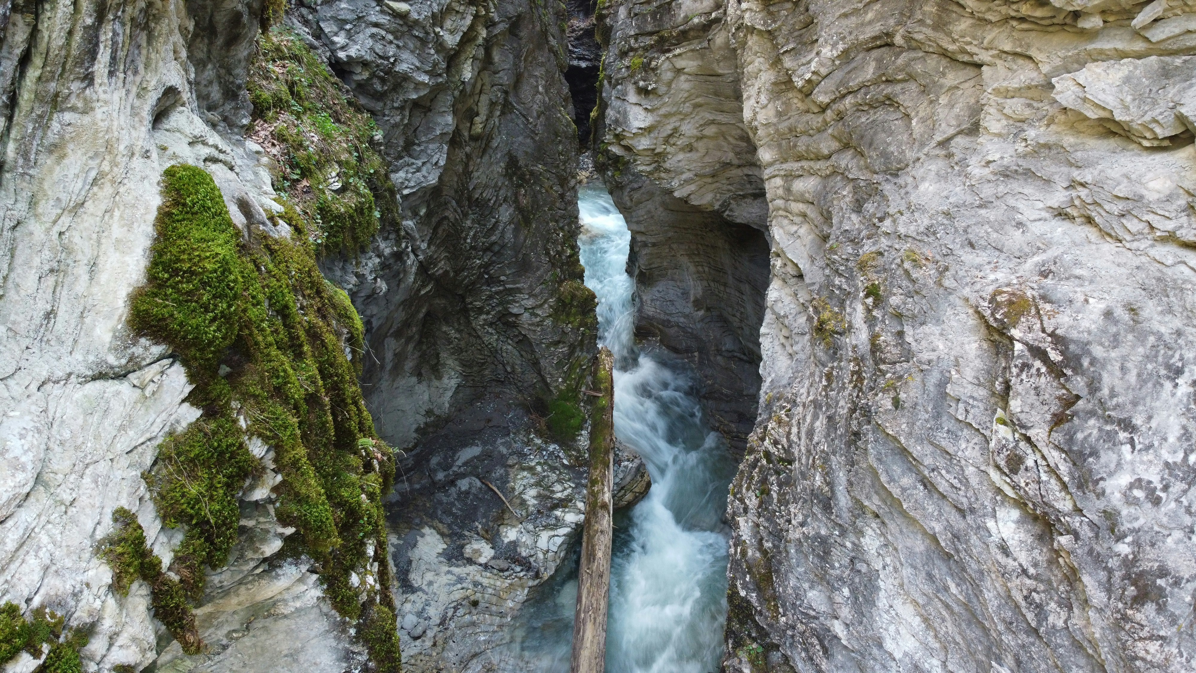 Photo by patrick_jenny