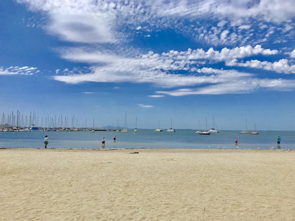 people on beach during daytime