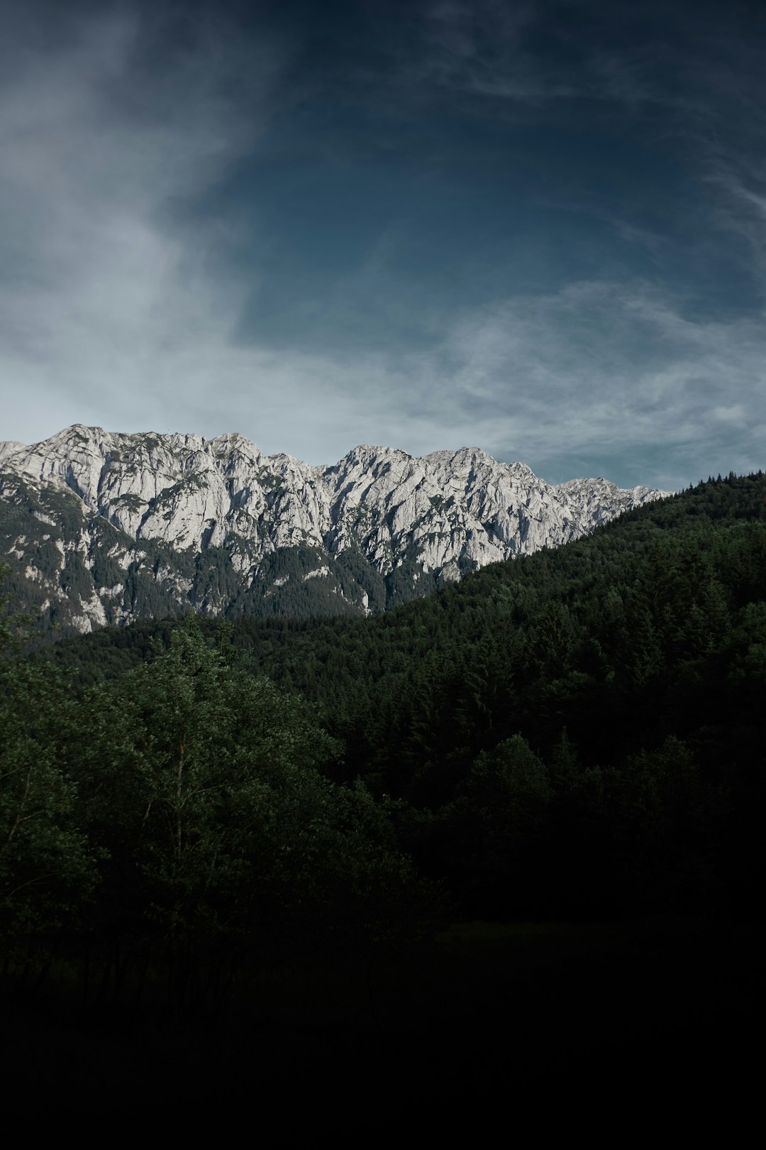 green trees near mountain under blue sky during daytime