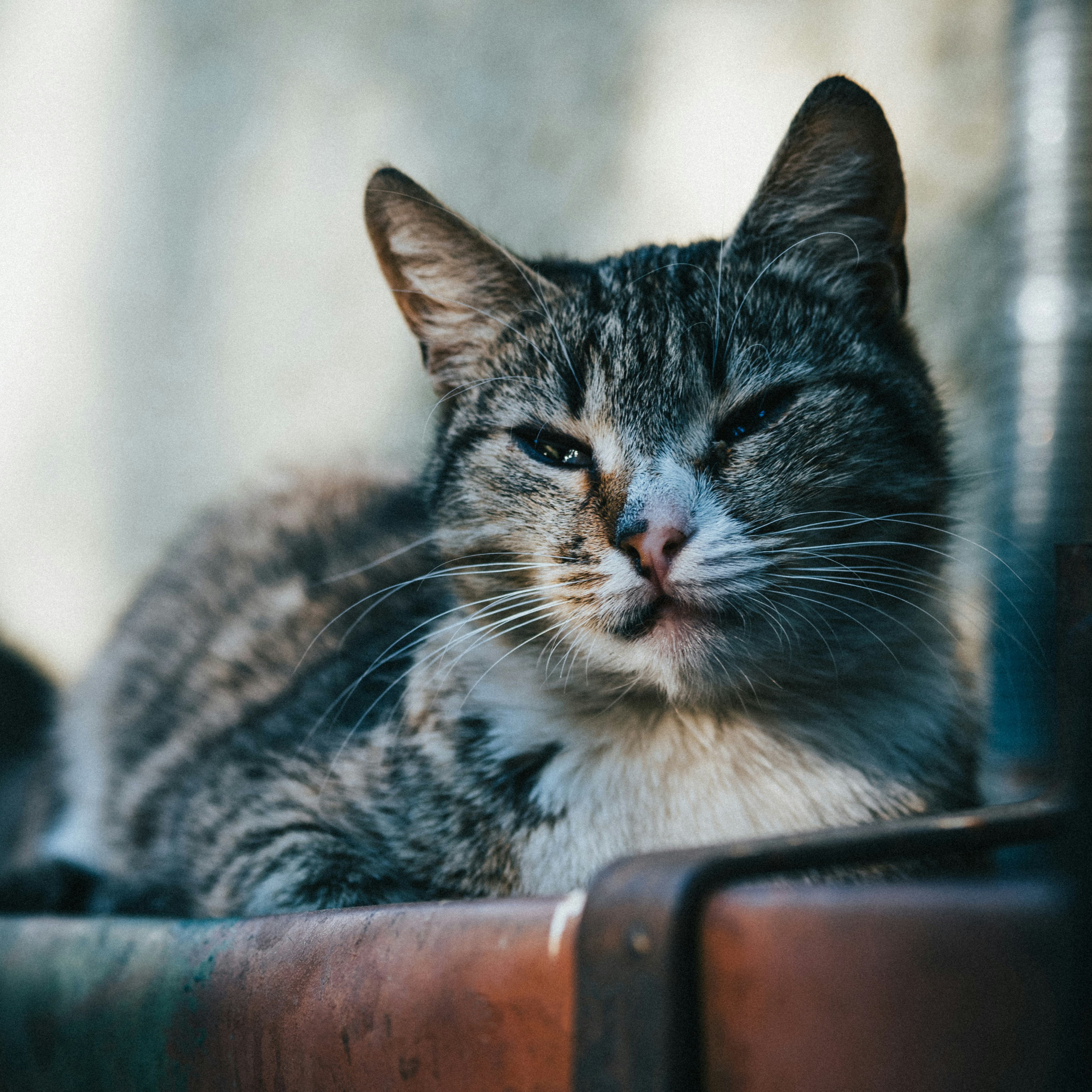 Photo by maksim_taawy