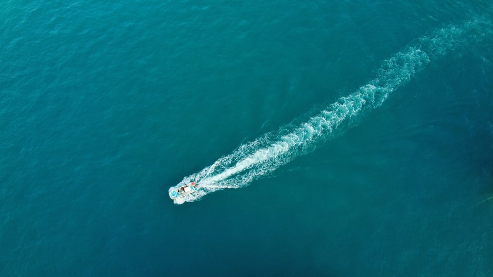 white and black boat on blue sea during daytime