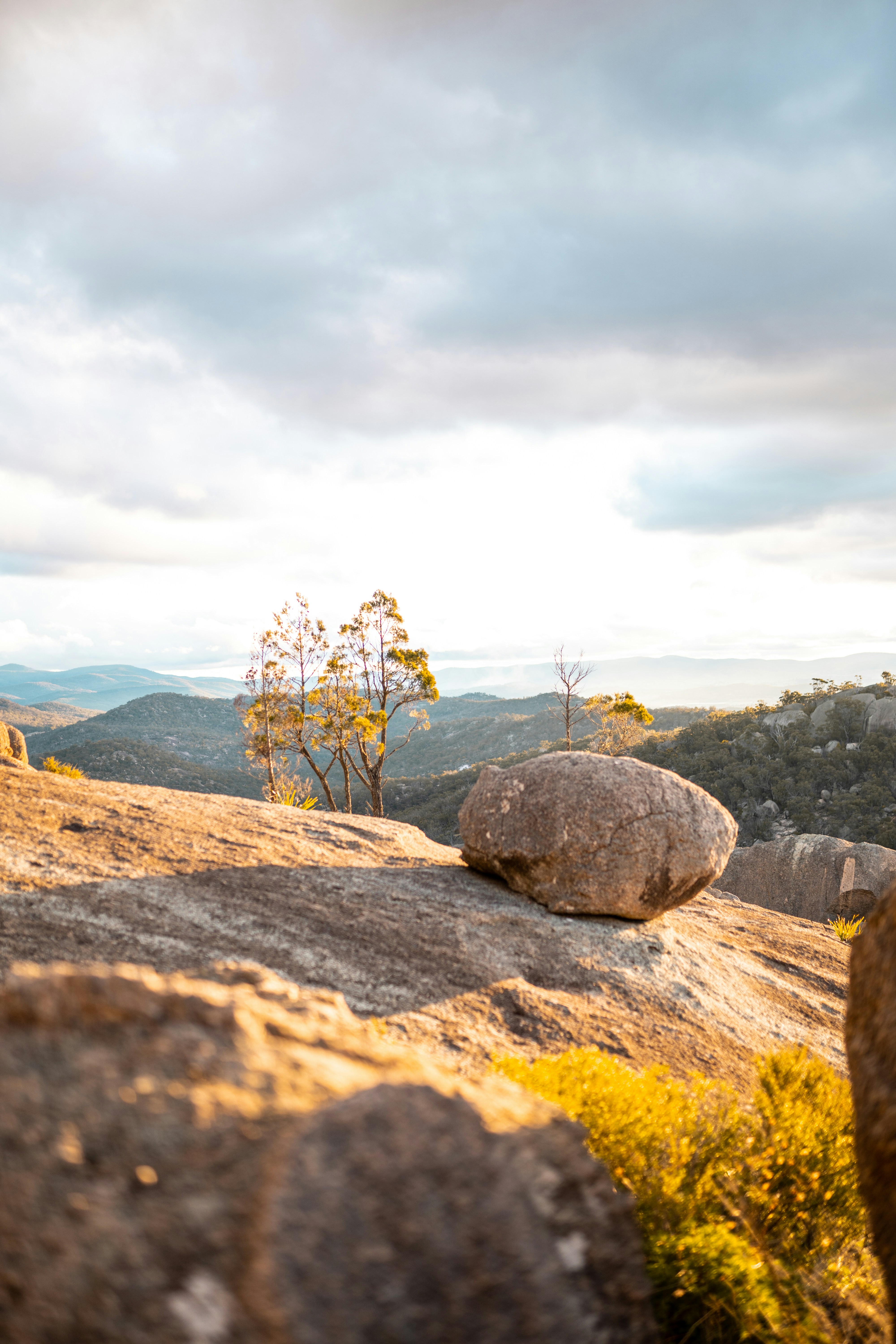 Photo by stuartdavies