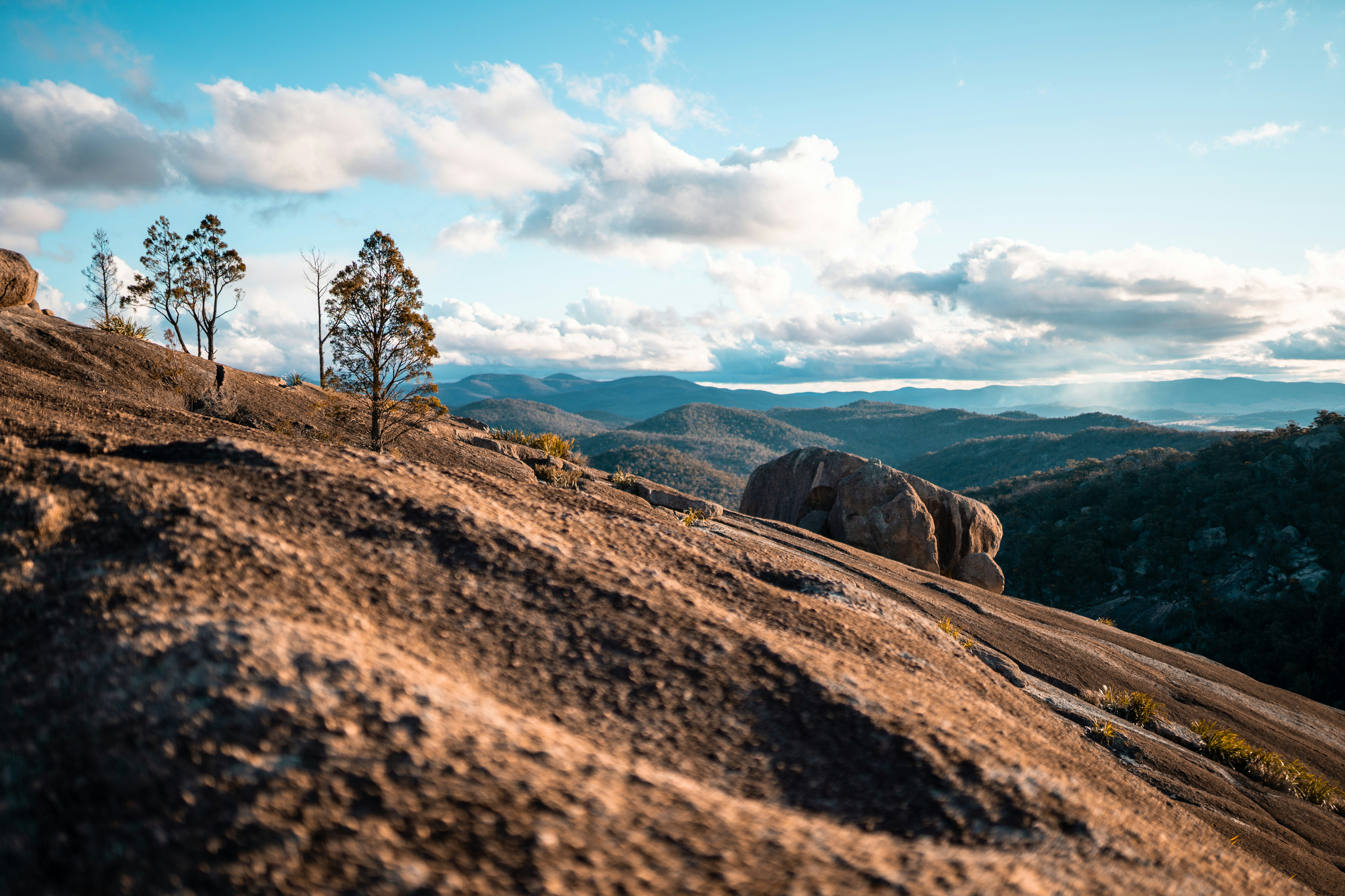 Photo by stuartdavies