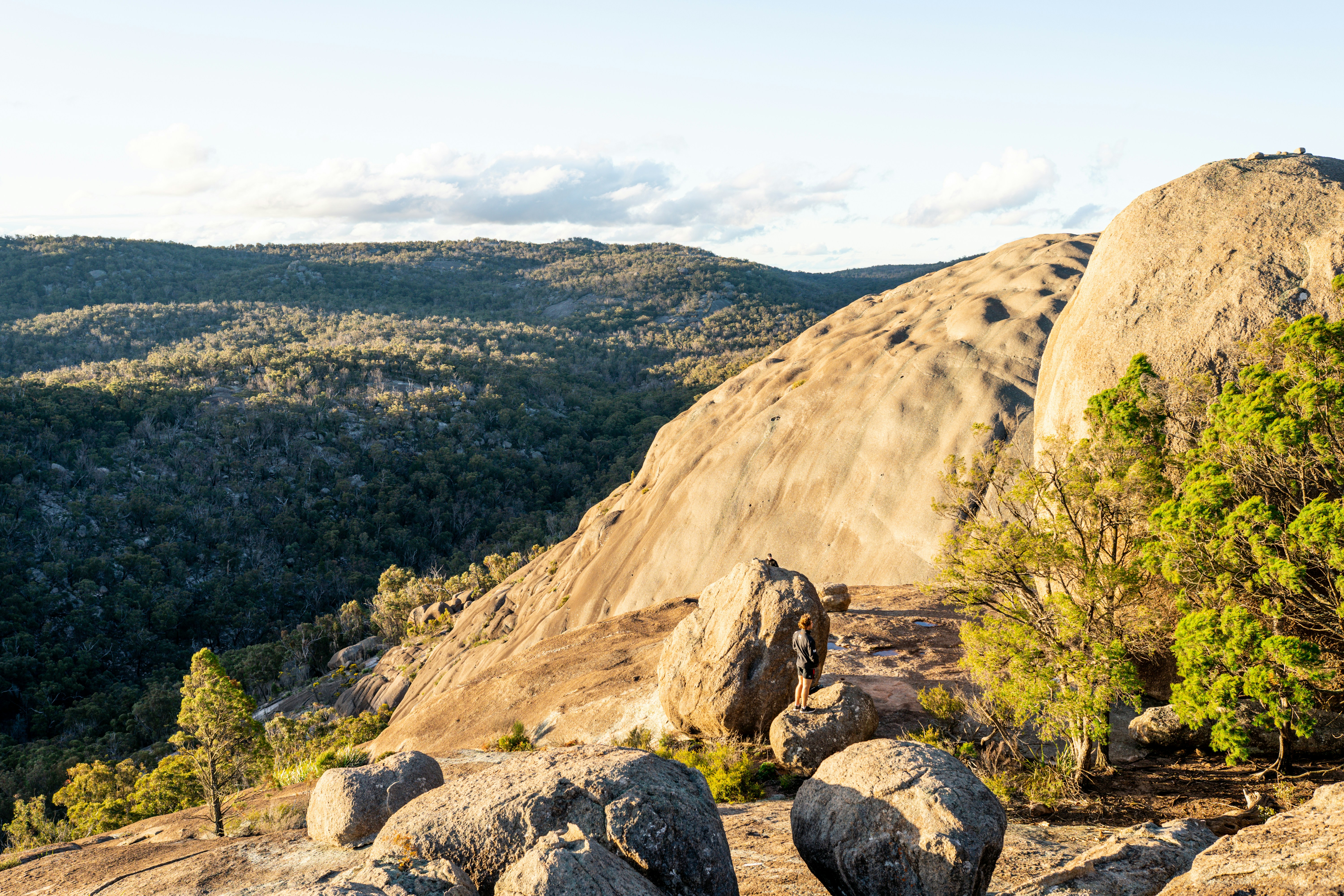 Photo by stuartdavies