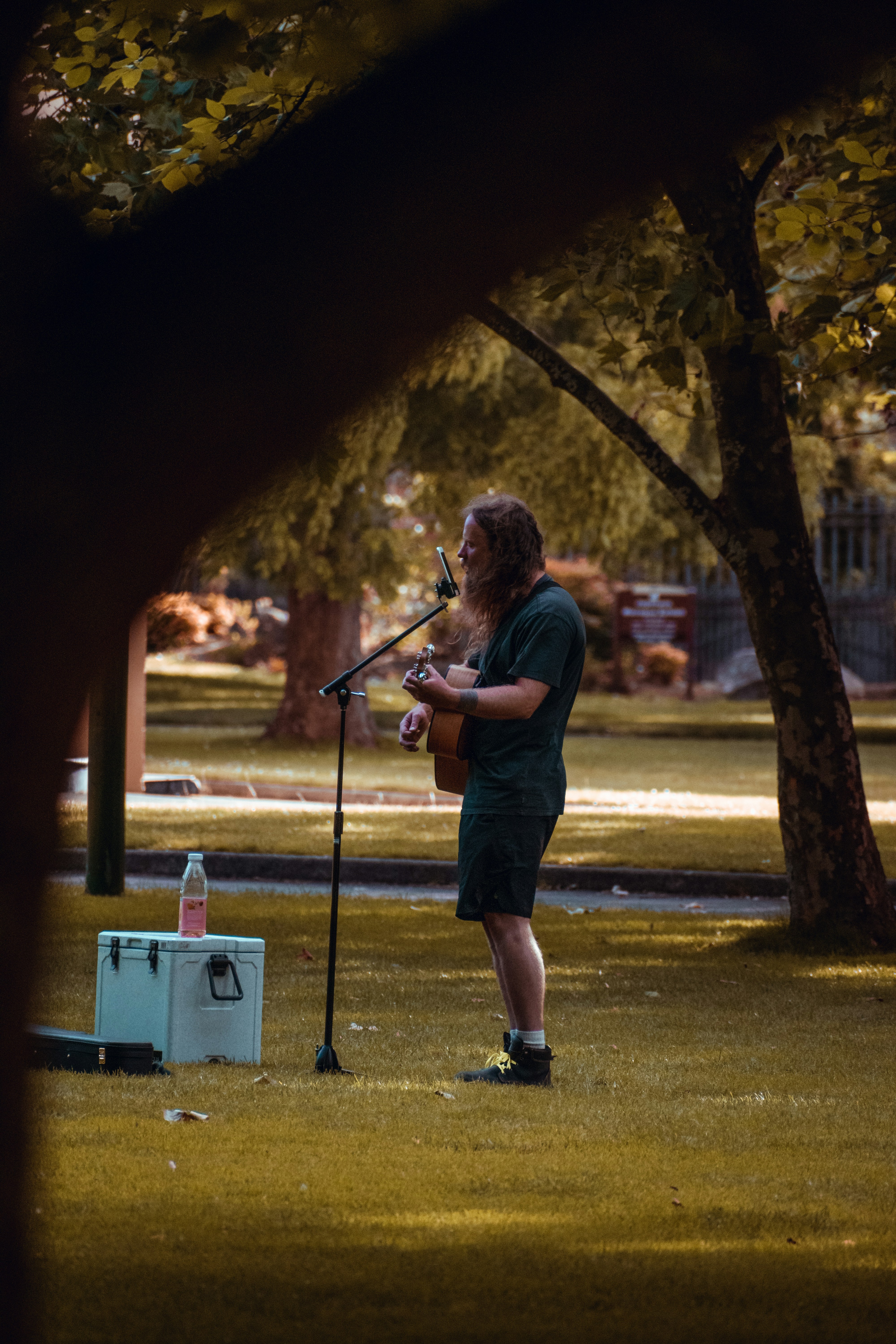 woman playing violin on green grass field during daytime