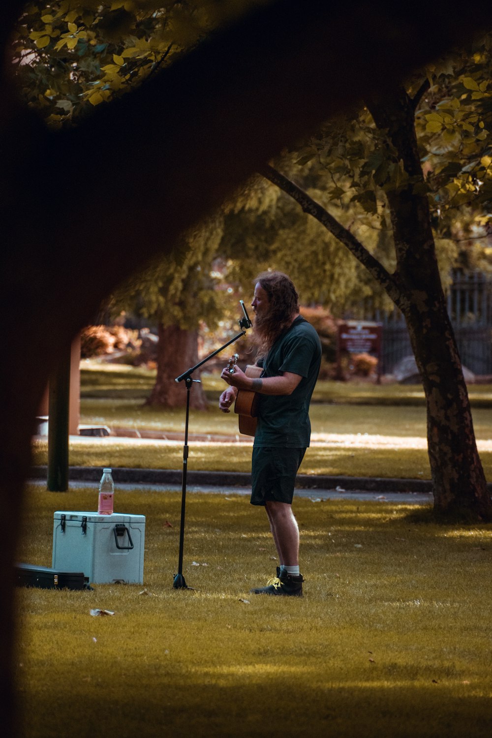 woman playing violin on green grass field during daytime