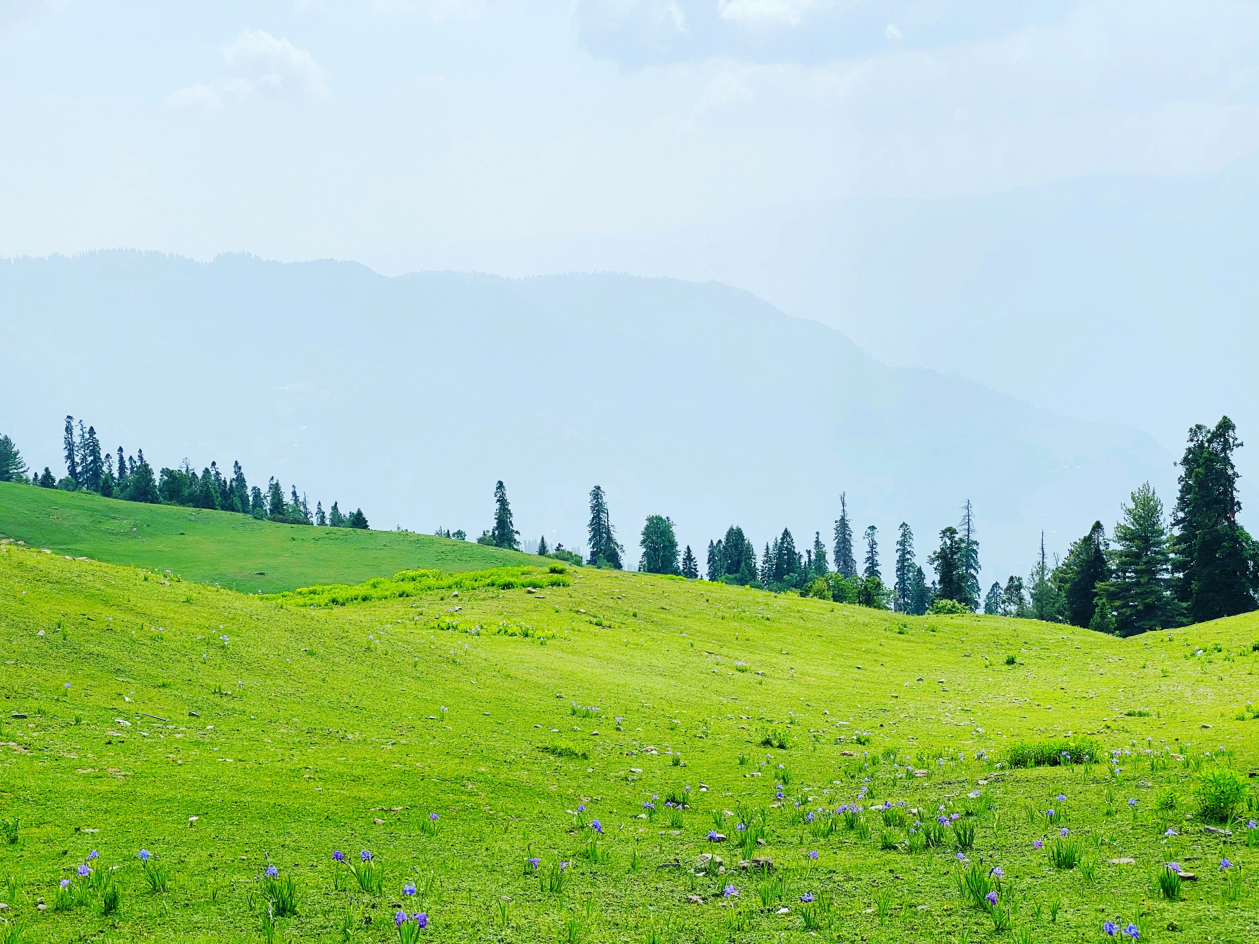 Photo by aitazazullah444