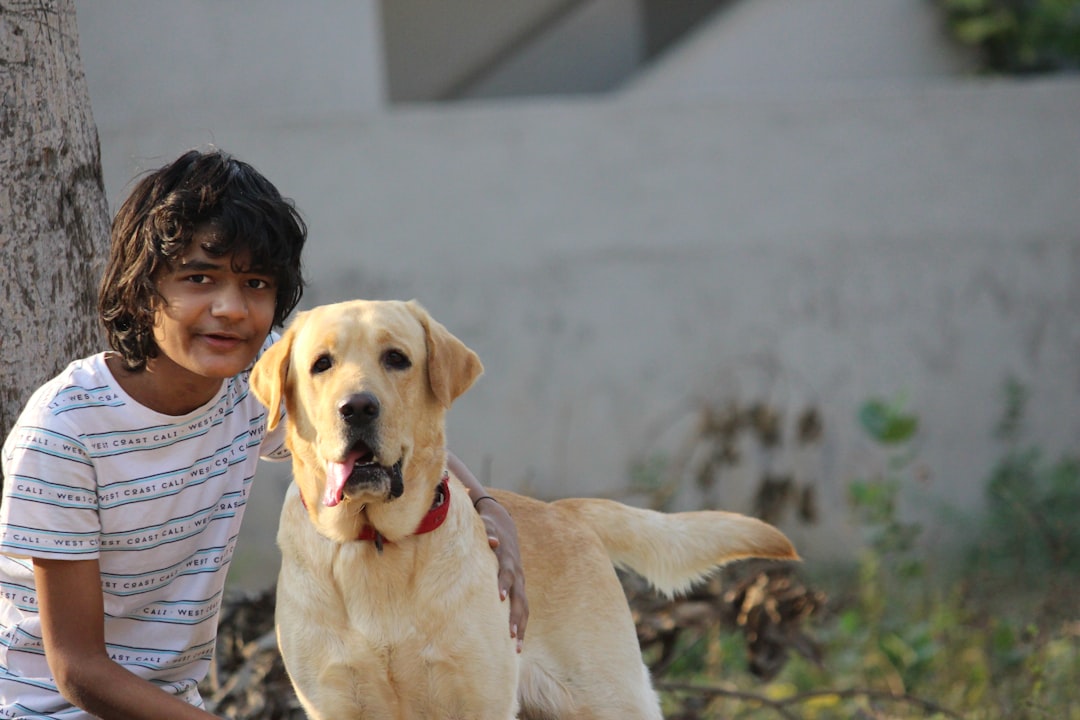 happy senior with companion - companion care services cost happy senior with companion - companion care services cost