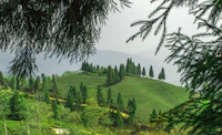 Best Places to Buy Souvenirs in Mirik (Skip the Tourist Junk)