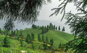 Mirik