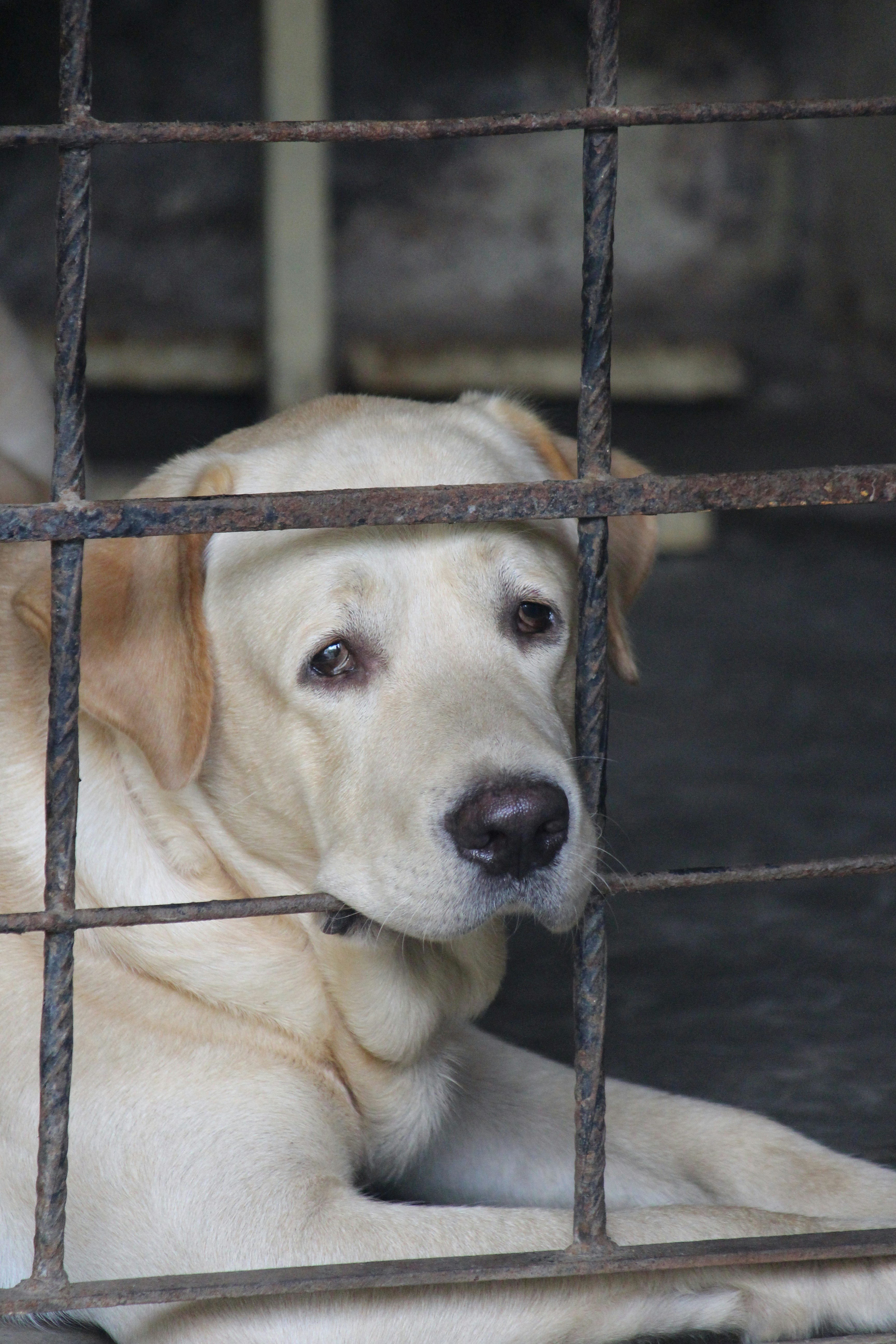 Photo by shridhardixit