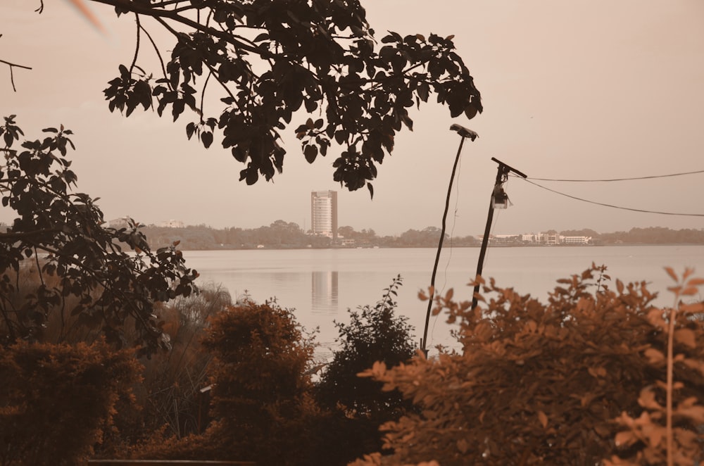 body of water near trees and building during daytime