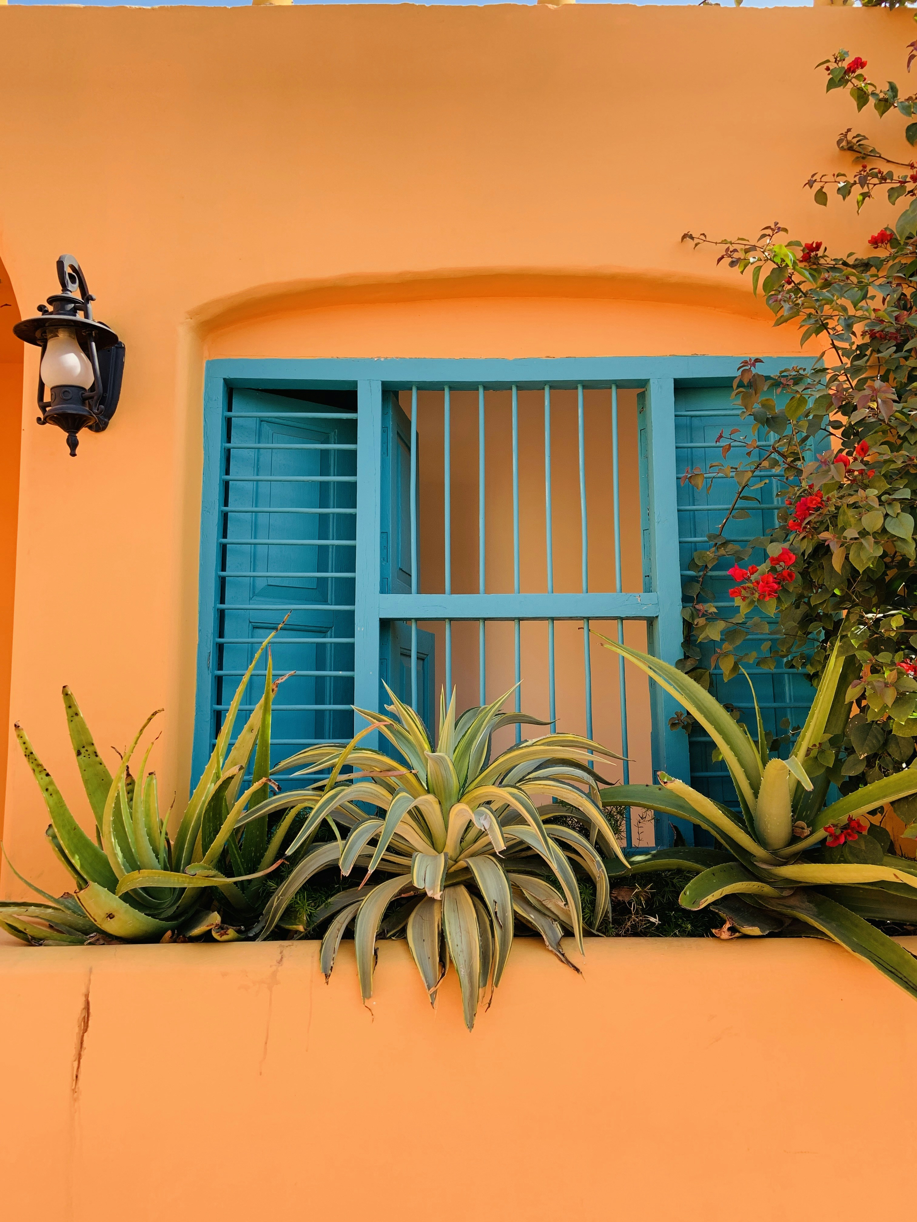 Photo by socialgraam