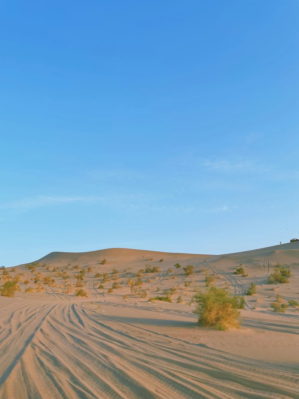 brown sand field under blue sky during daytime