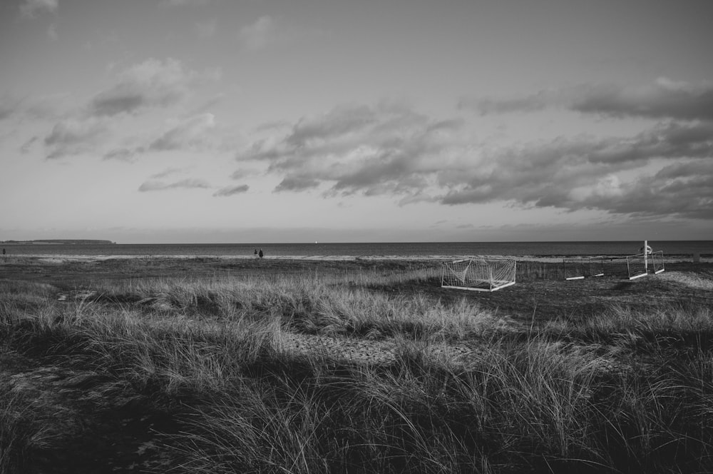 grayscale photo of grass field