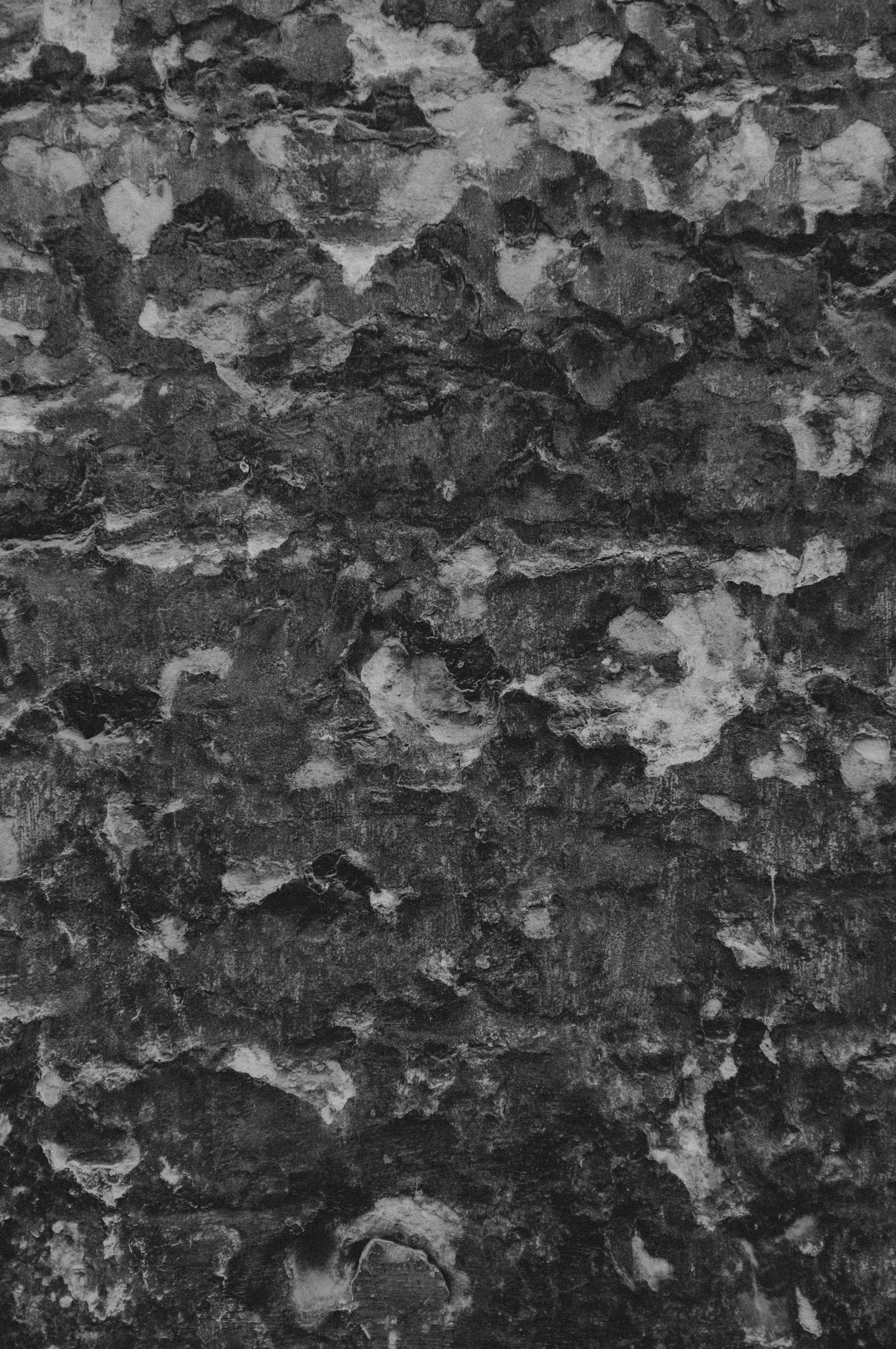 Photo by moisamihai092