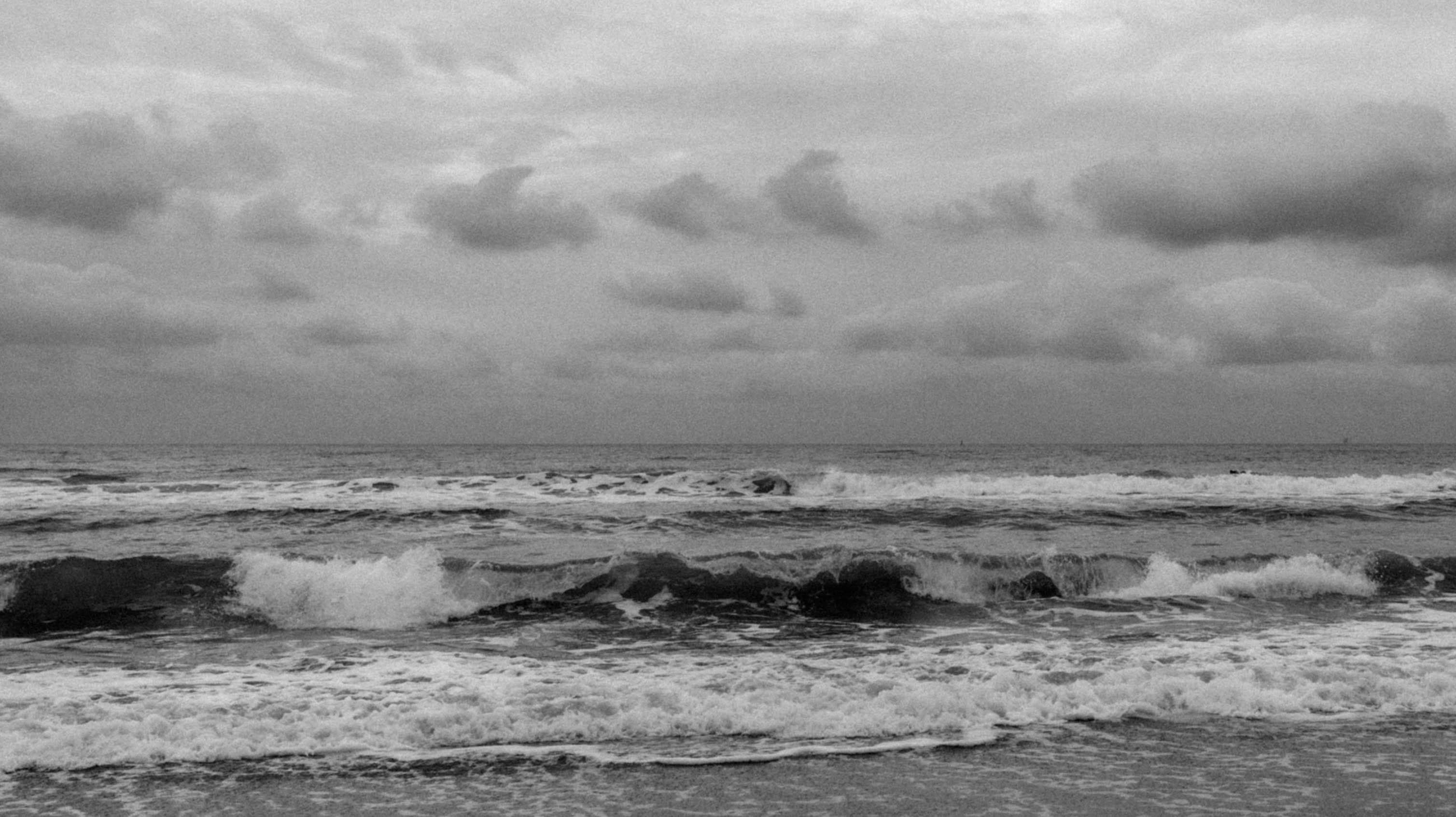 Photo by moisamihai092