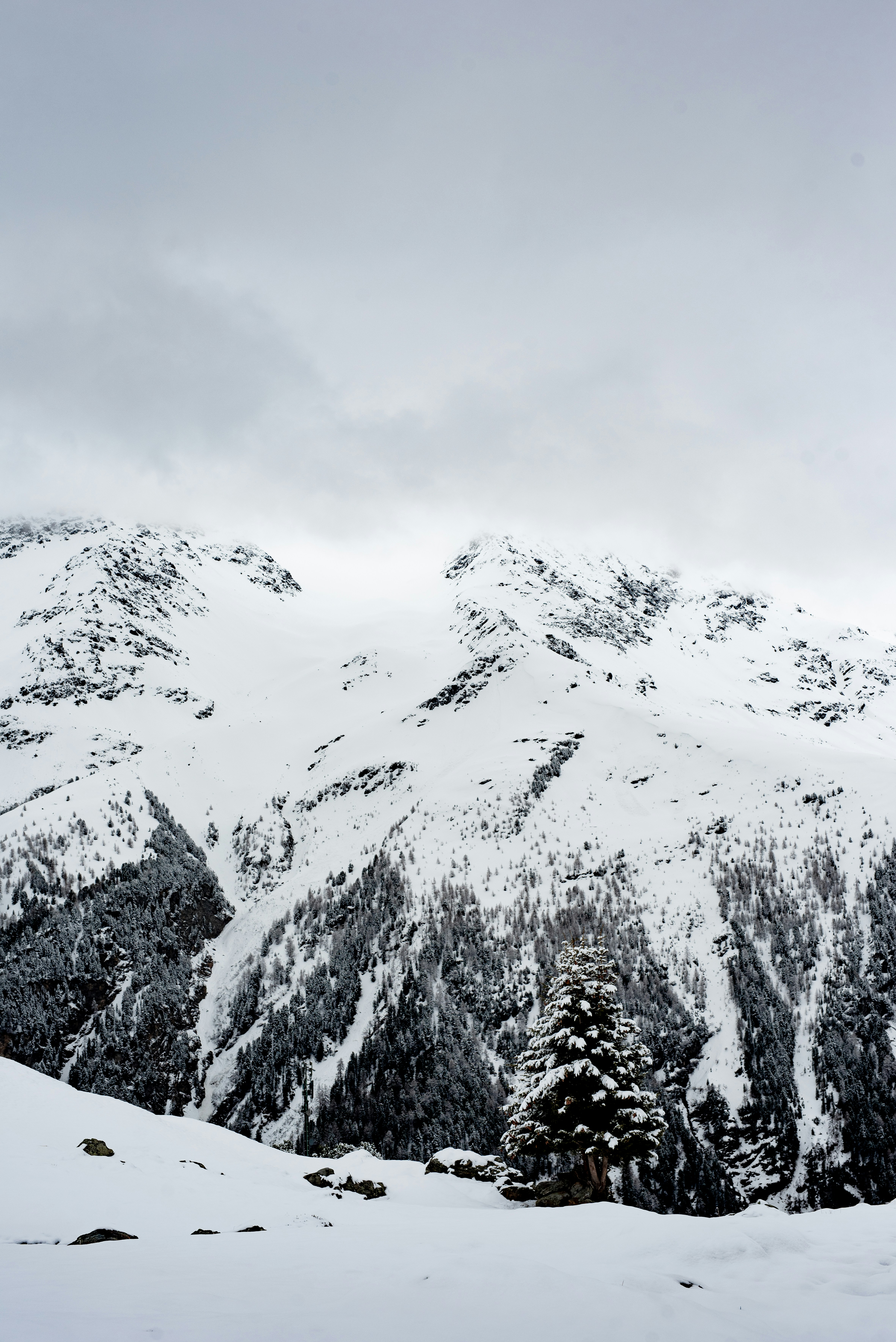 Photo by lauraadaiphoto