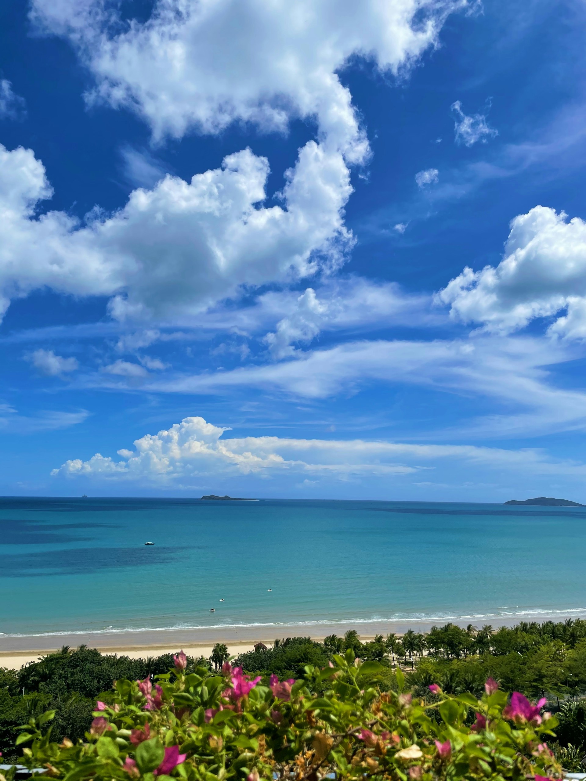 people on beach under blue sky and white clouds during daytime