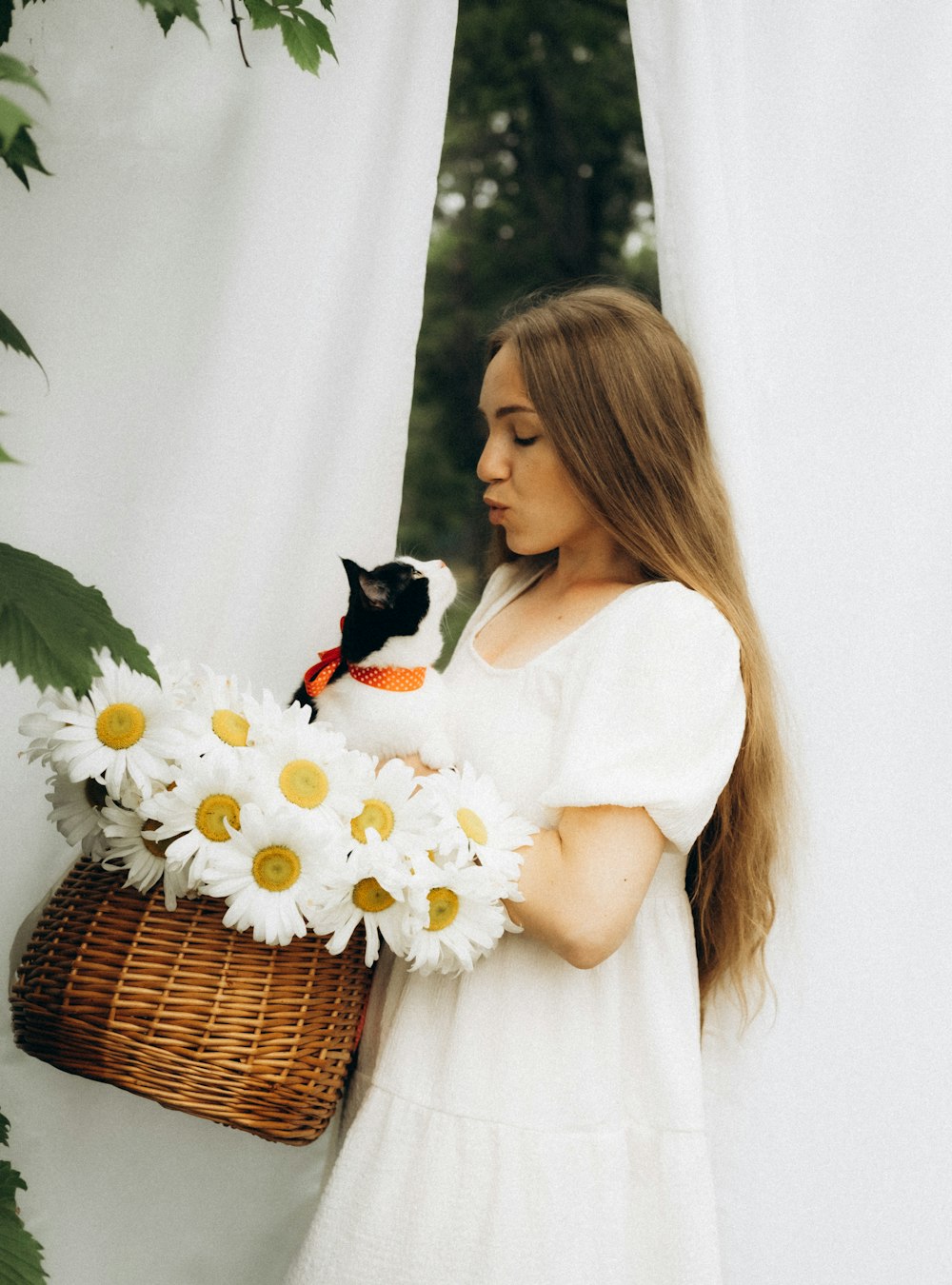 woman in white dress holding white daisy flowers