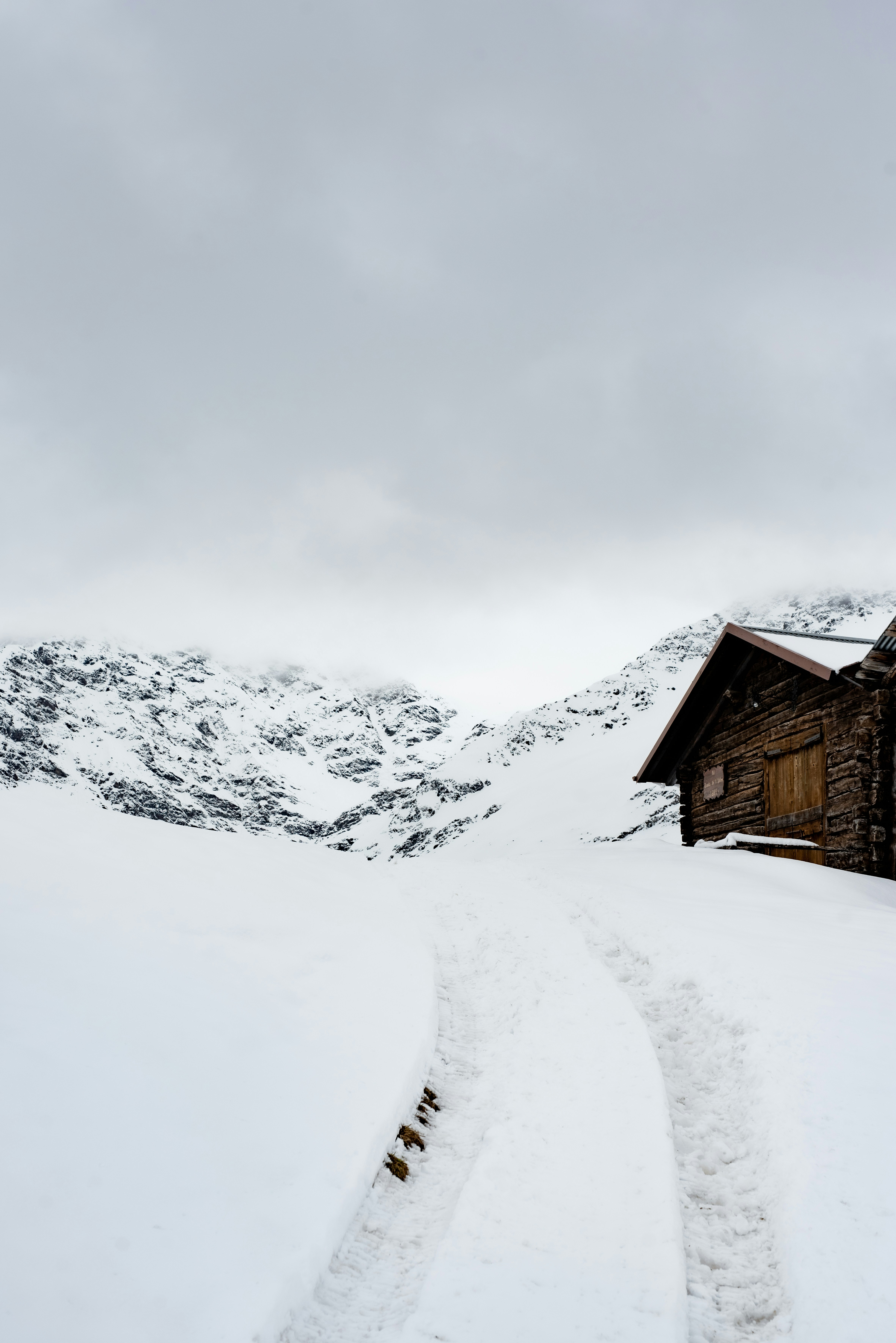 Photo by lauraadaiphoto