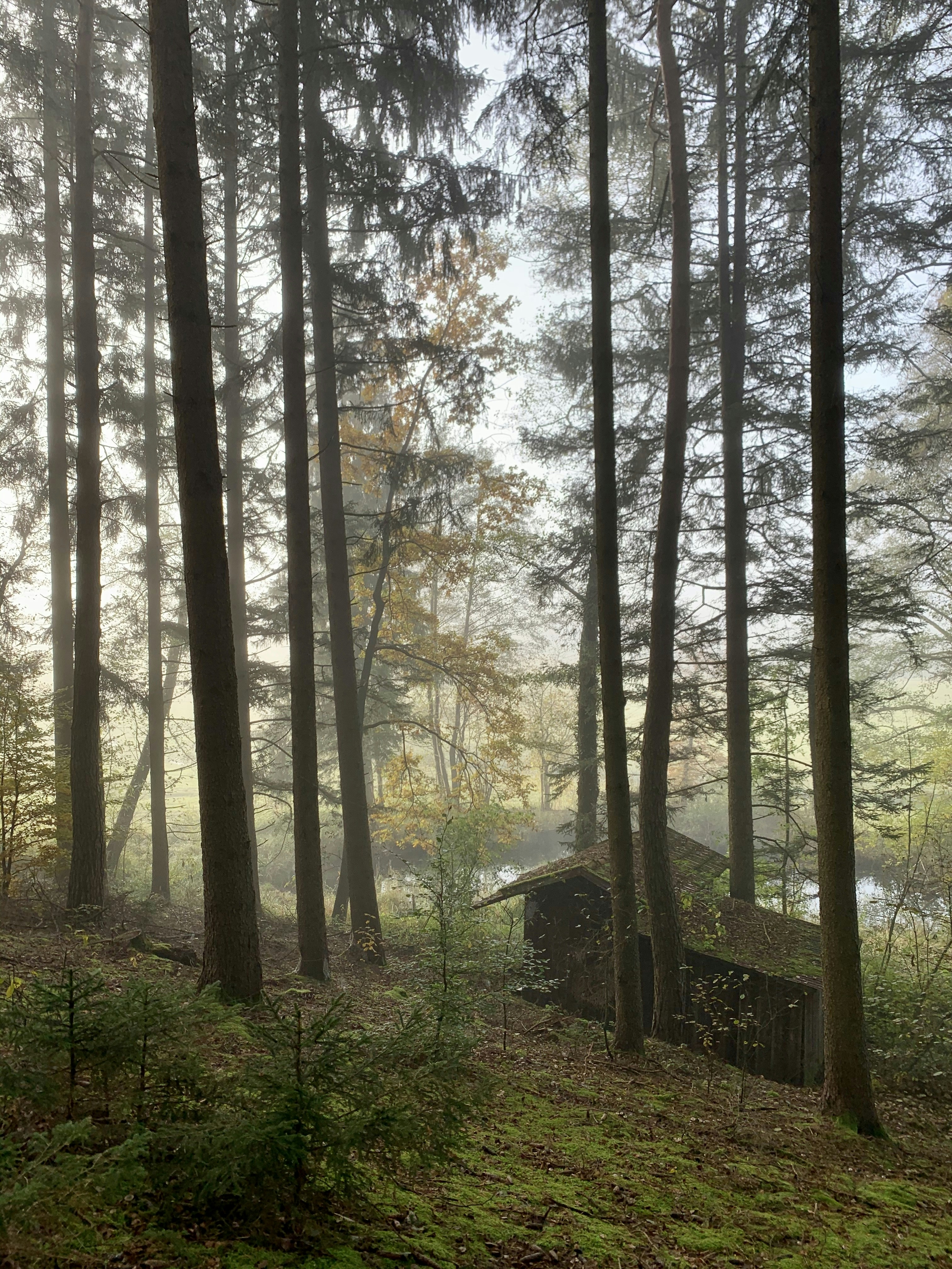 Photo by lucasstadelmeyer