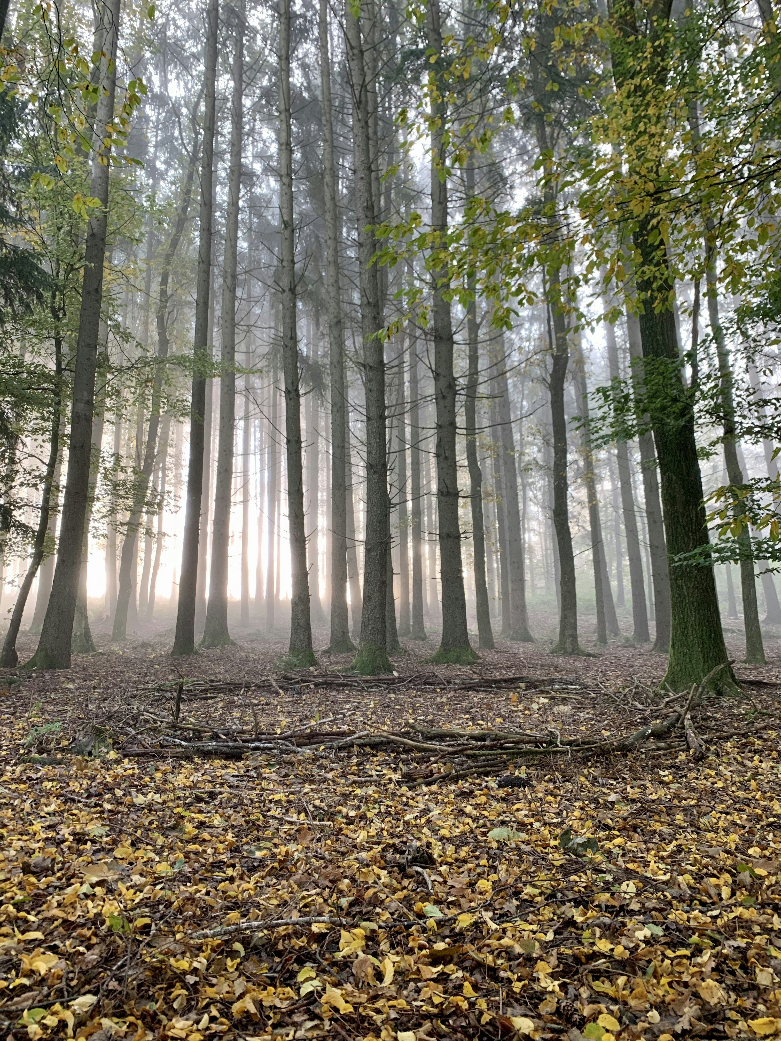 Photo by lucasstadelmeyer