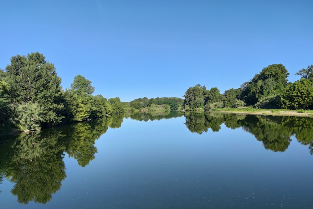 green trees beside lake under blue sky during daytime