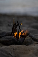 fire woods on gray rock