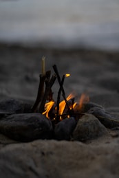 fire woods on gray rock