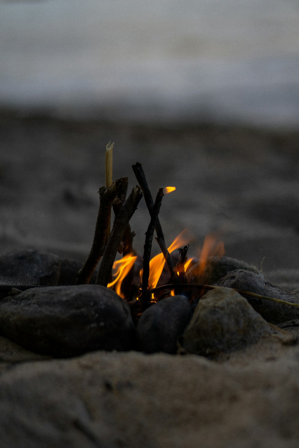 fire woods on gray rock