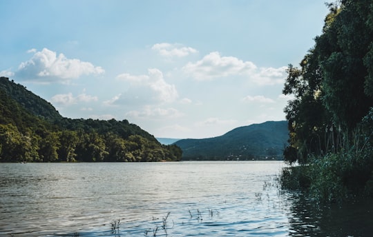 green trees near body of water during daytime in Kisoroszi Hungary